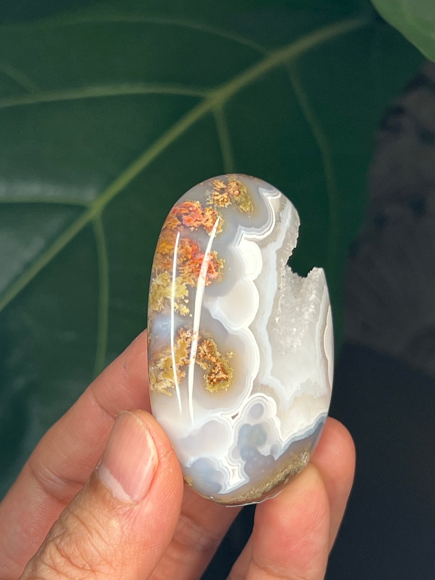 Scenic Moss Agate Palmstone