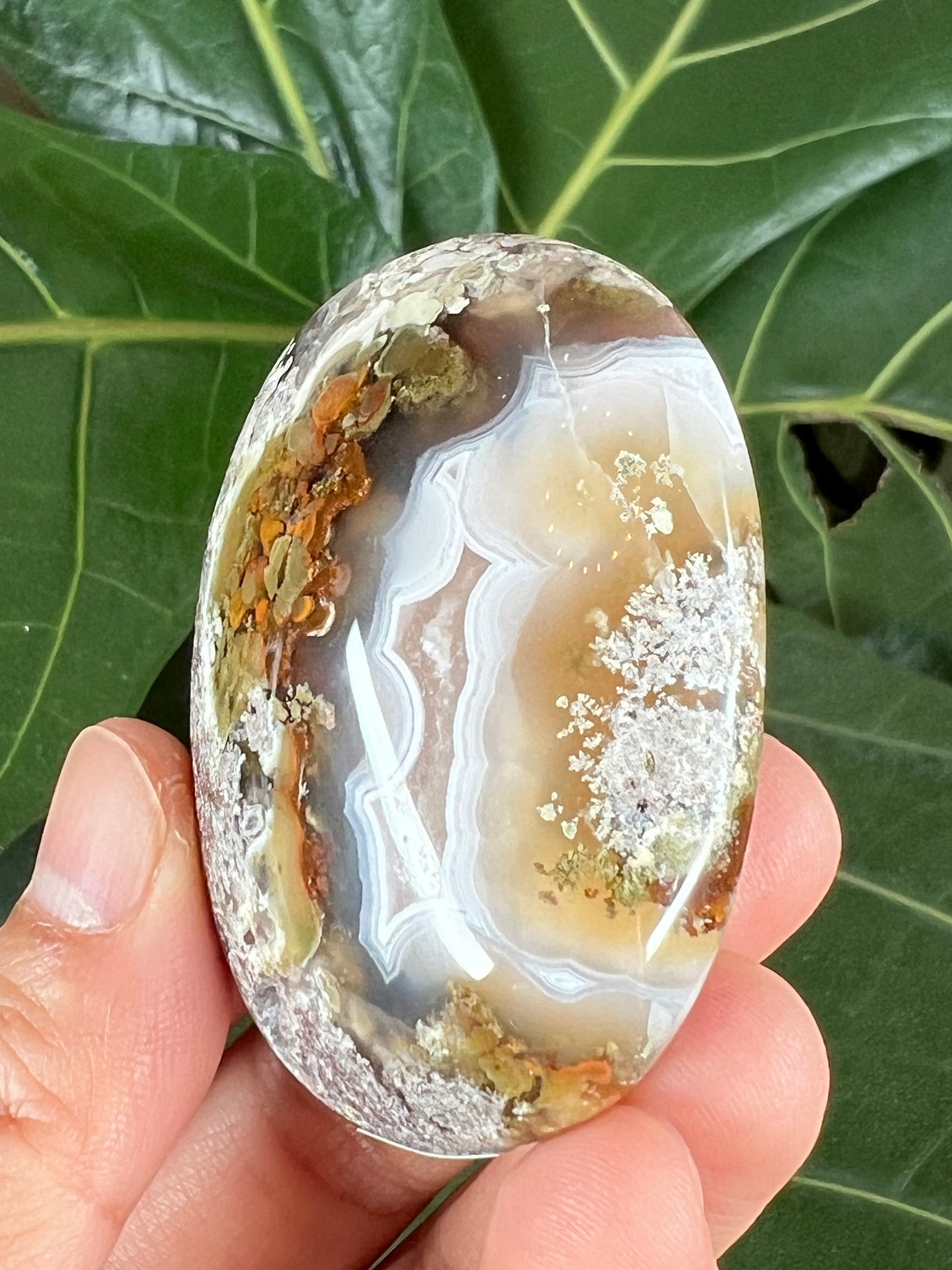 Scenic Moss Agate Palm Stone