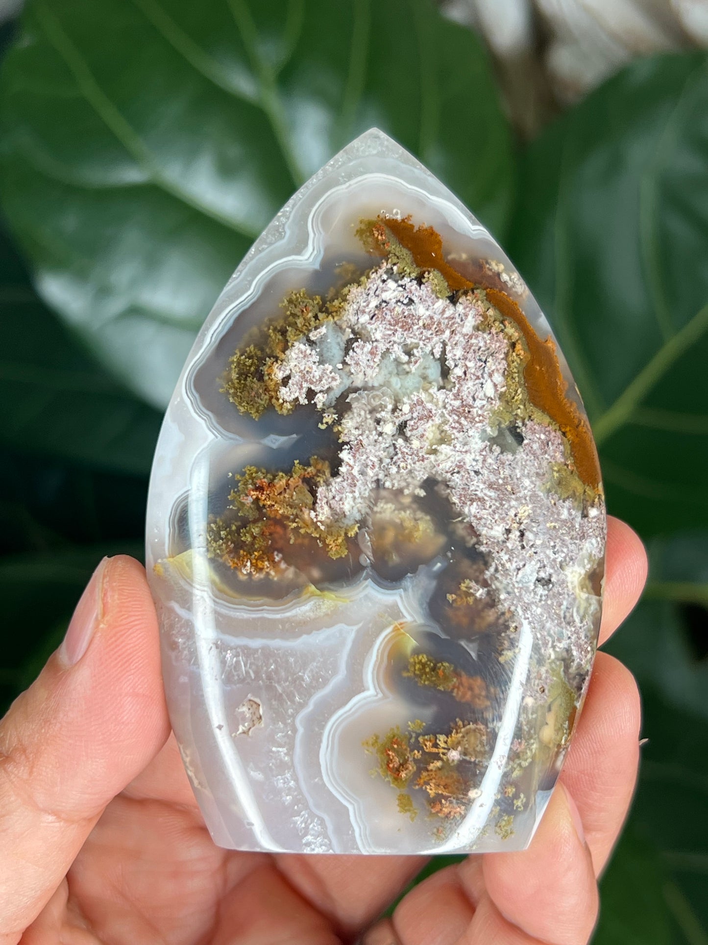 Scenic Moss Agate Flame