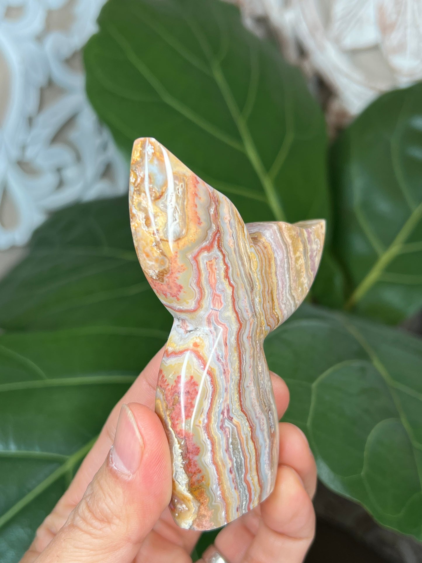 Crazy Lace Agate Mermaid tail