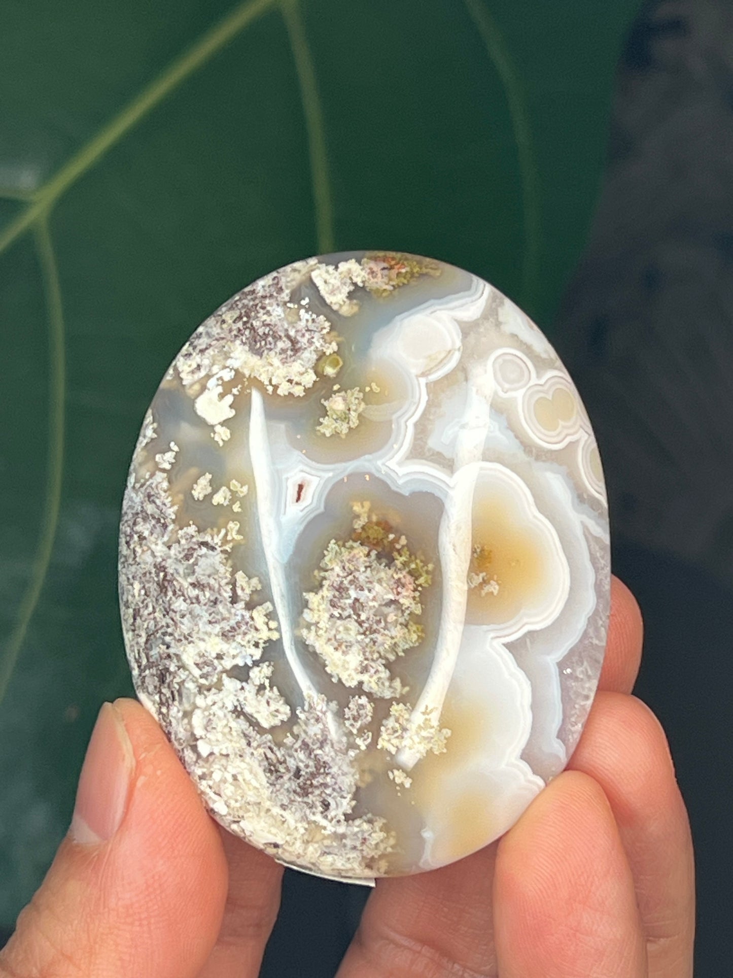 Scenic Moss Agate Palmstone