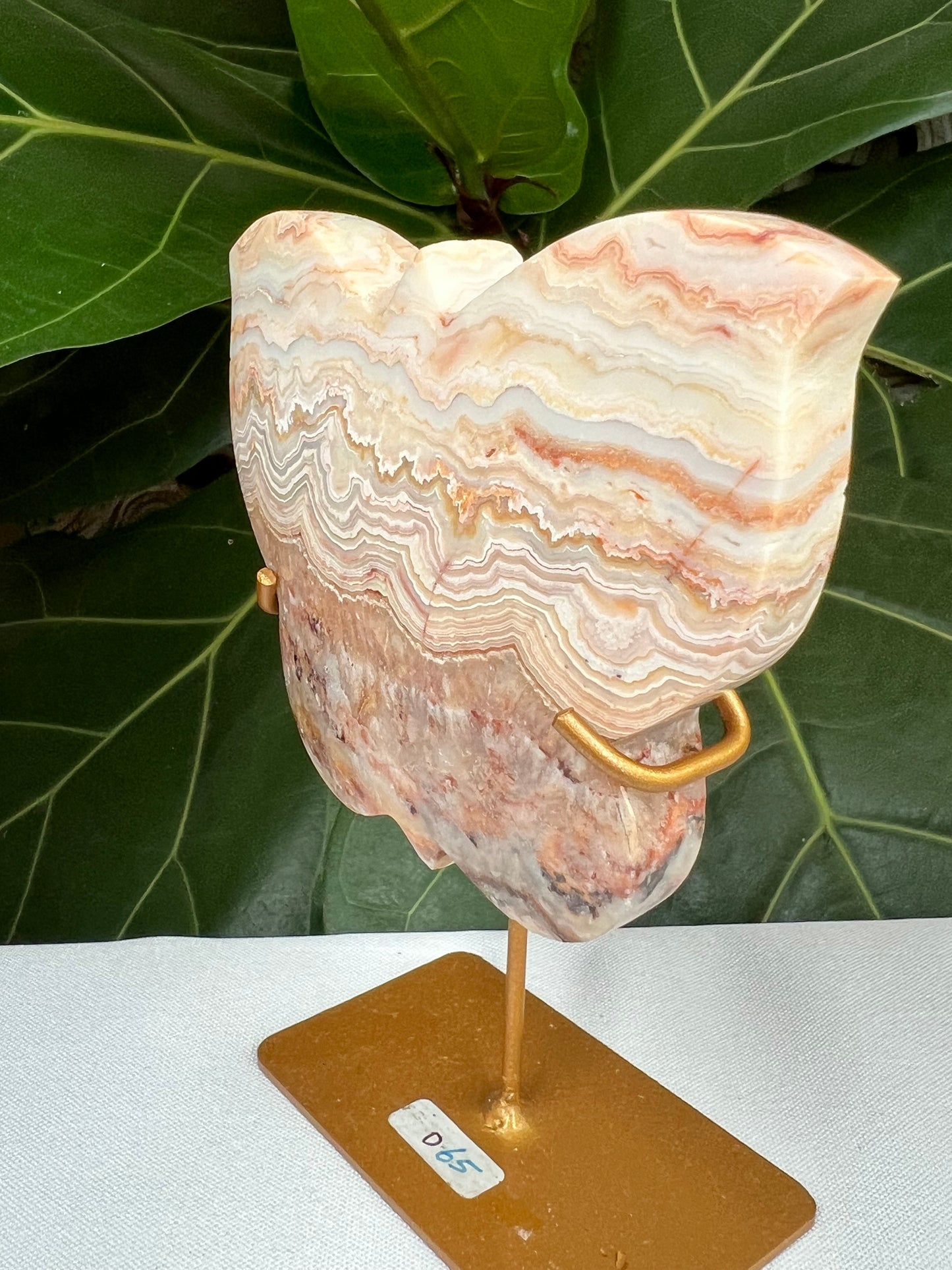 Crazy Lace Agate Butterfly