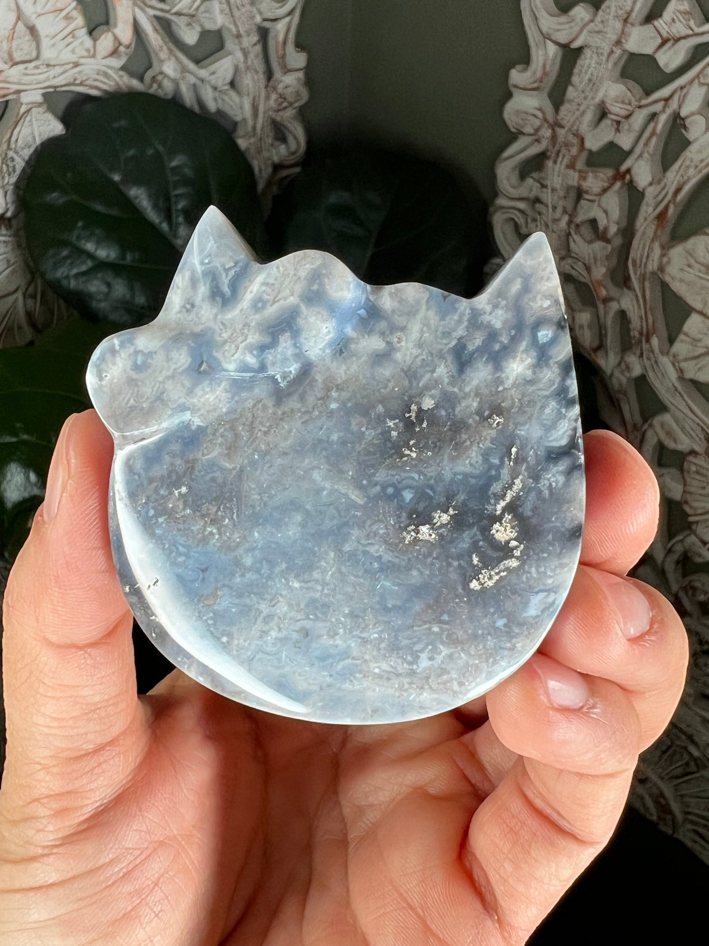 Blue Plume Agate Cat