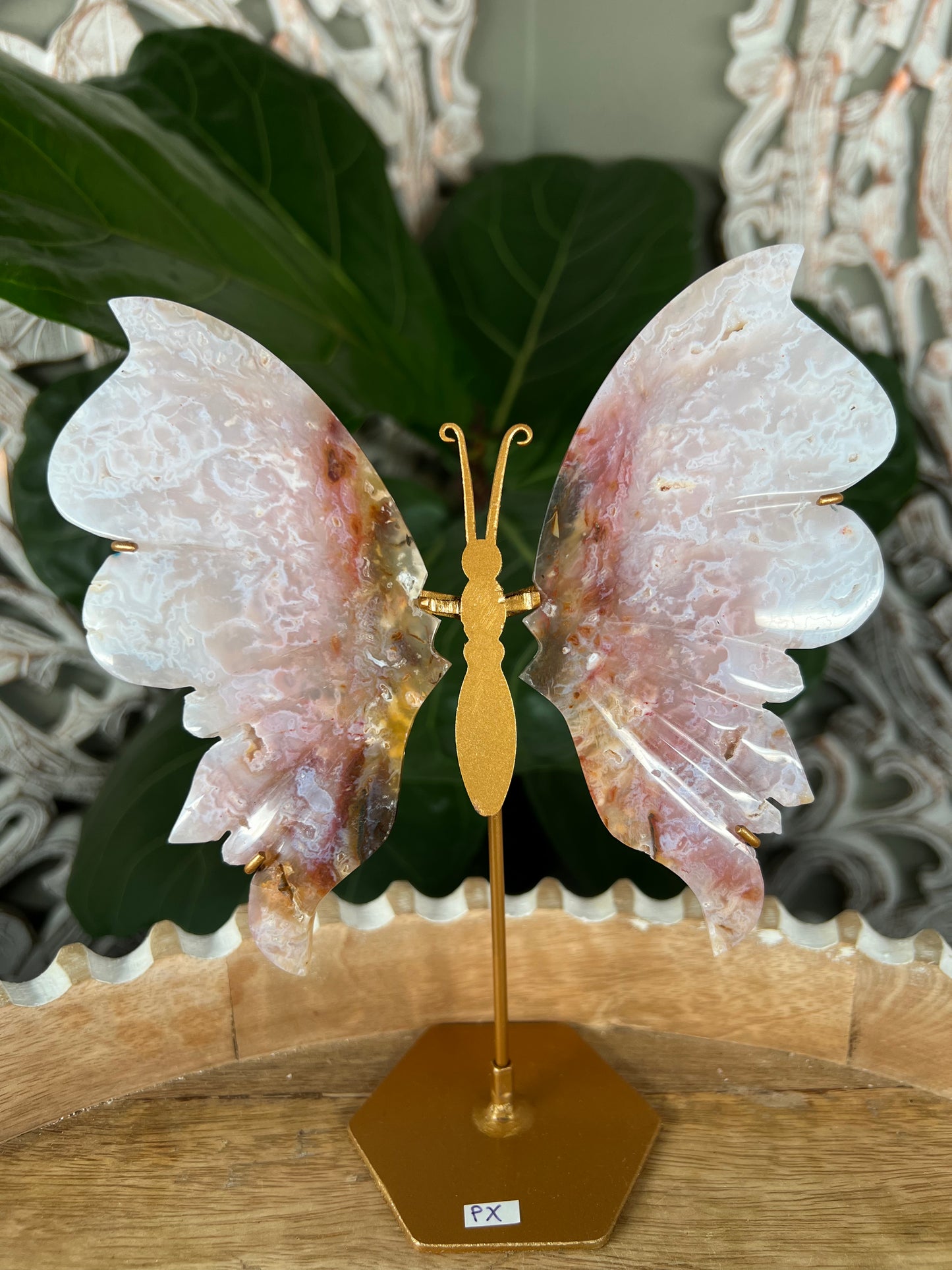 Rainbow Plume Agate Wings