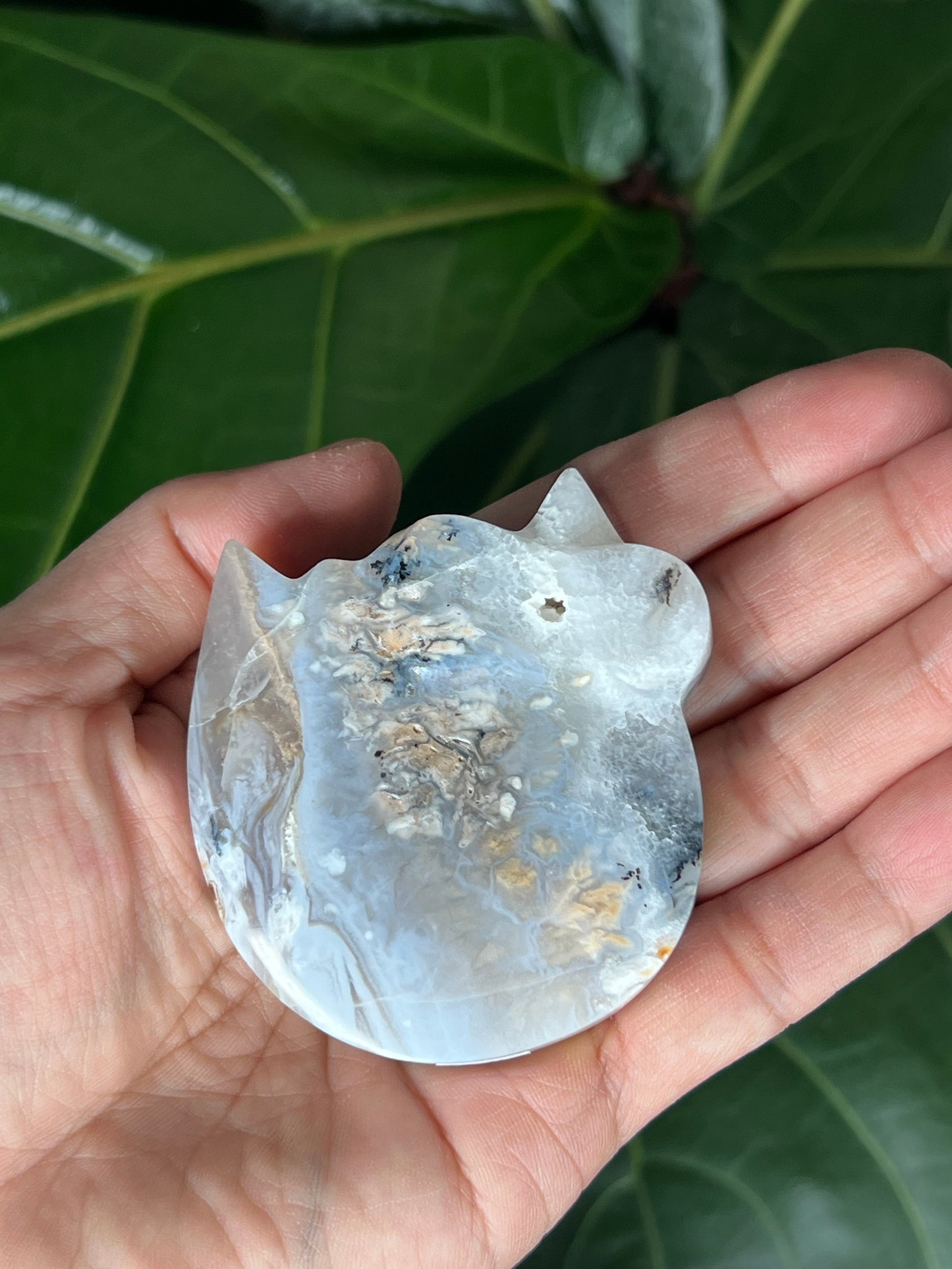 Tiger Dendritic Agate Cat