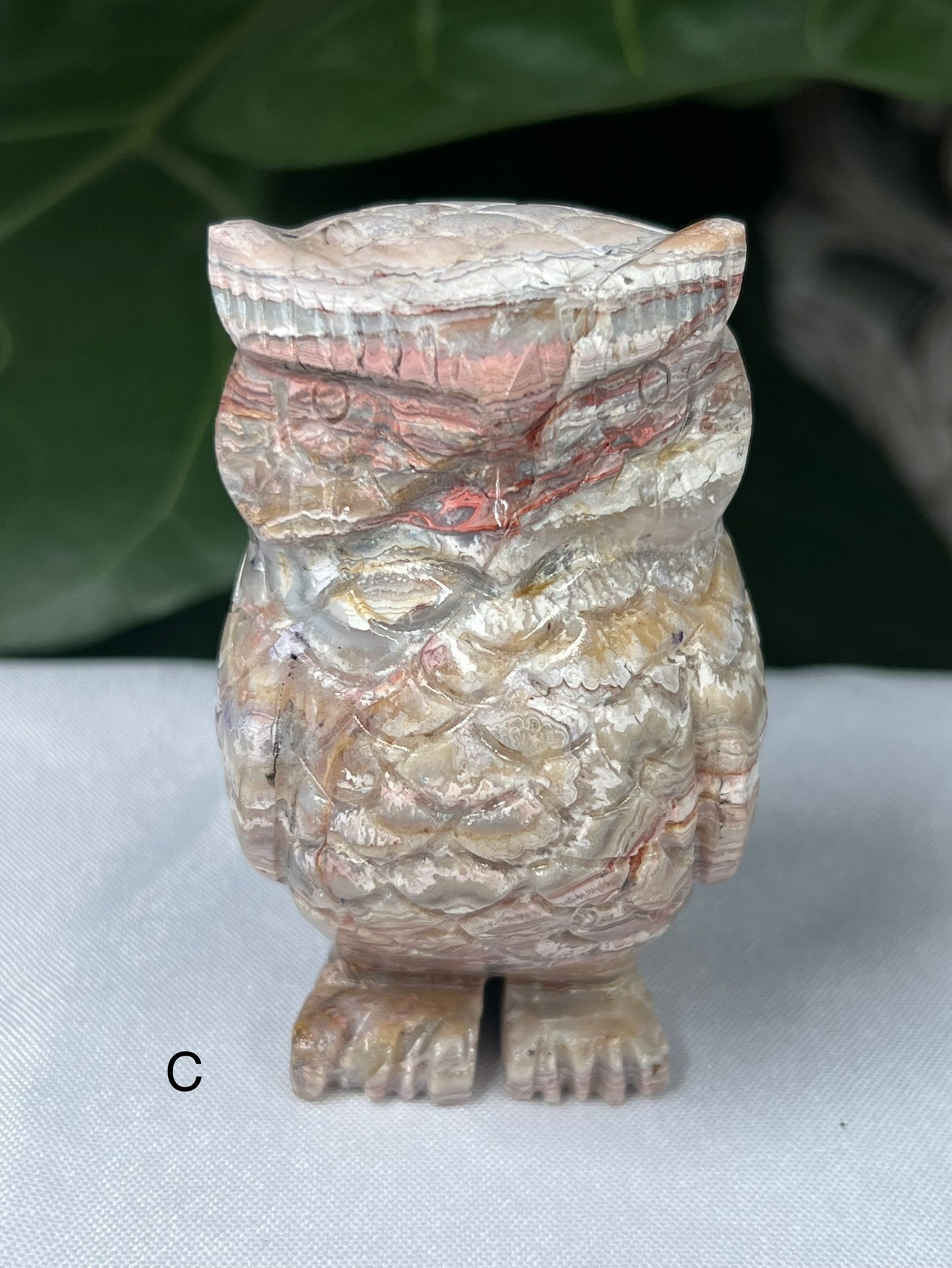 Crazy Lace Agate Owl