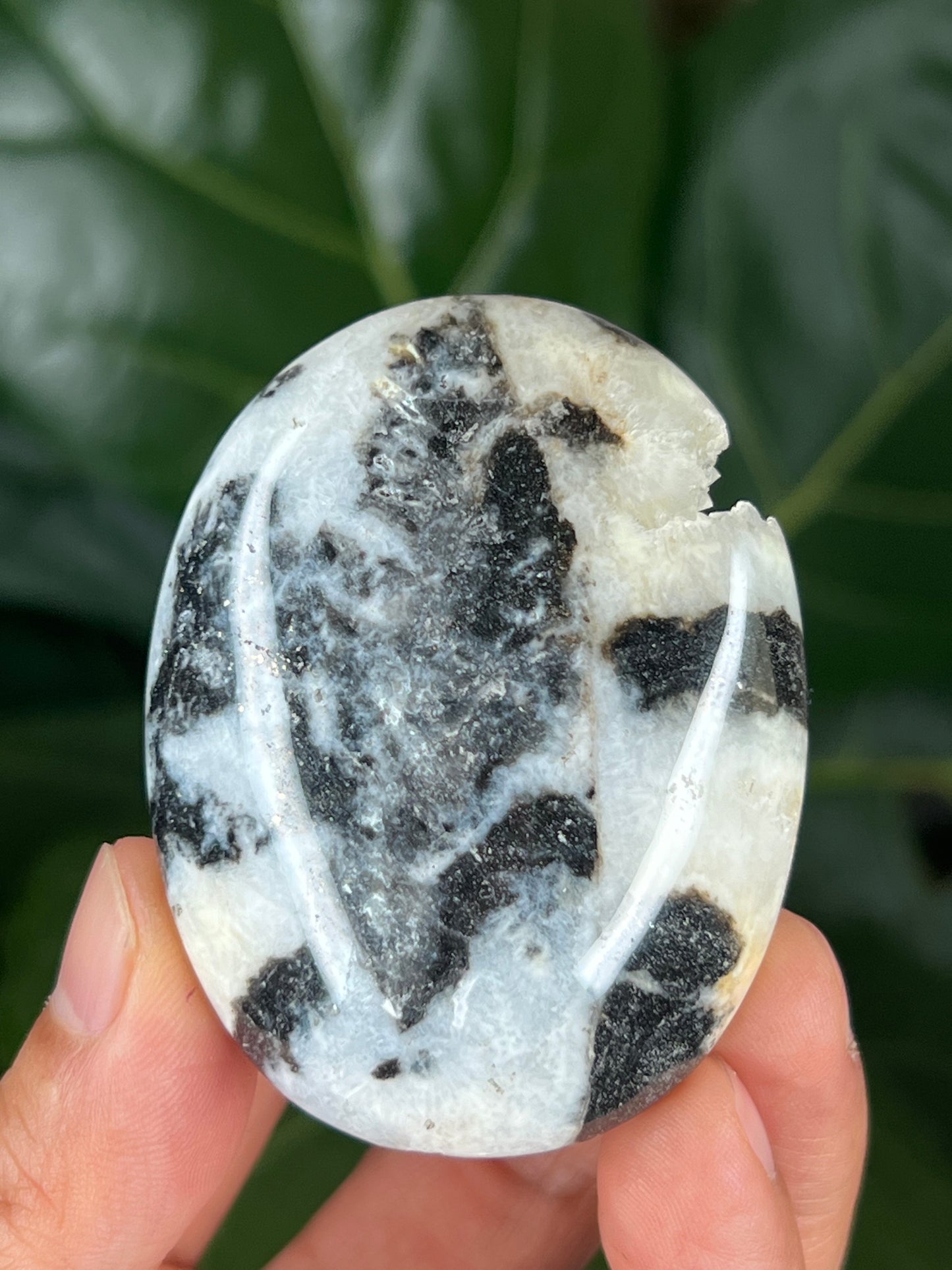 Sphalerite Palmstone