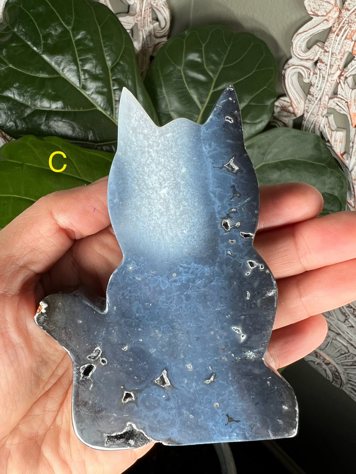 Blue Plume Agate Cat