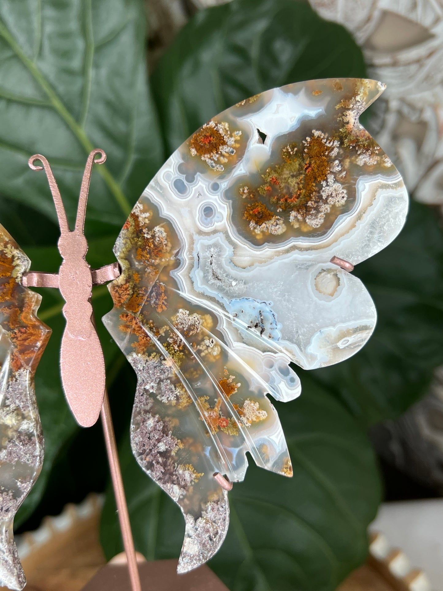 Scenic moss agate Wings