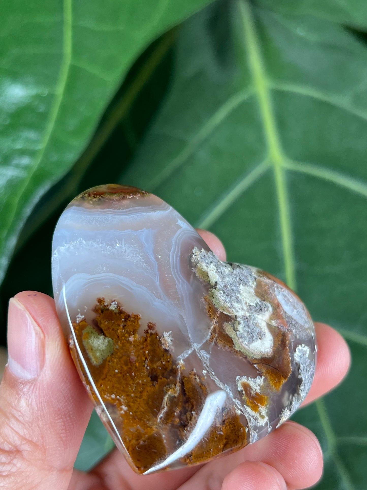 Scenic Moss Agate Heart