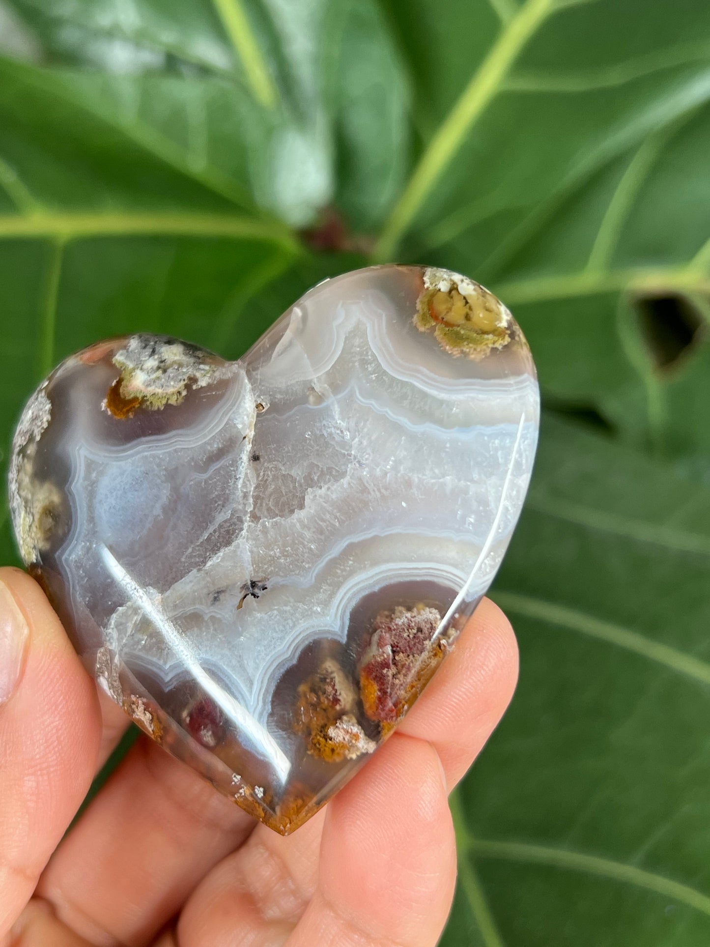 Scenic Moss Agate Heart