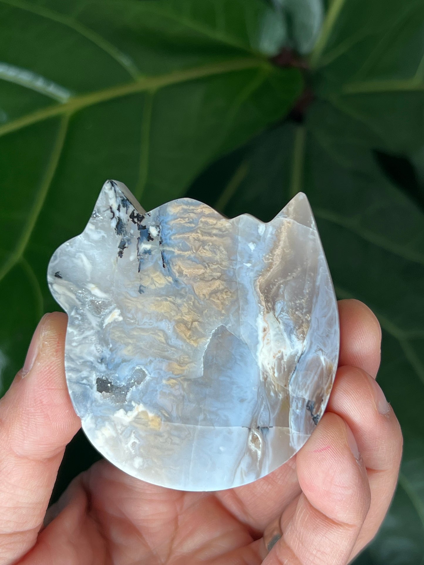 Tiger Dendritic Agate Cat