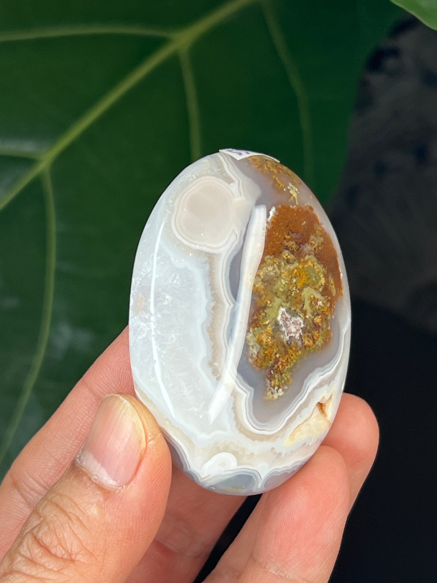 Scenic Moss Agate Palmstone