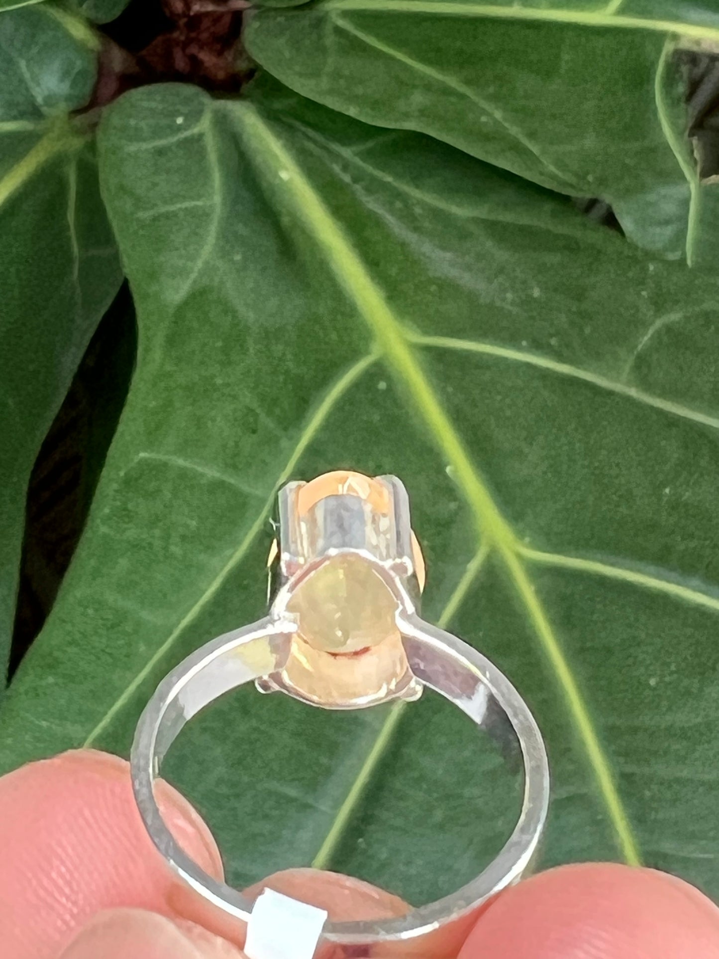 Mexican Fire Opal Ring Size 7