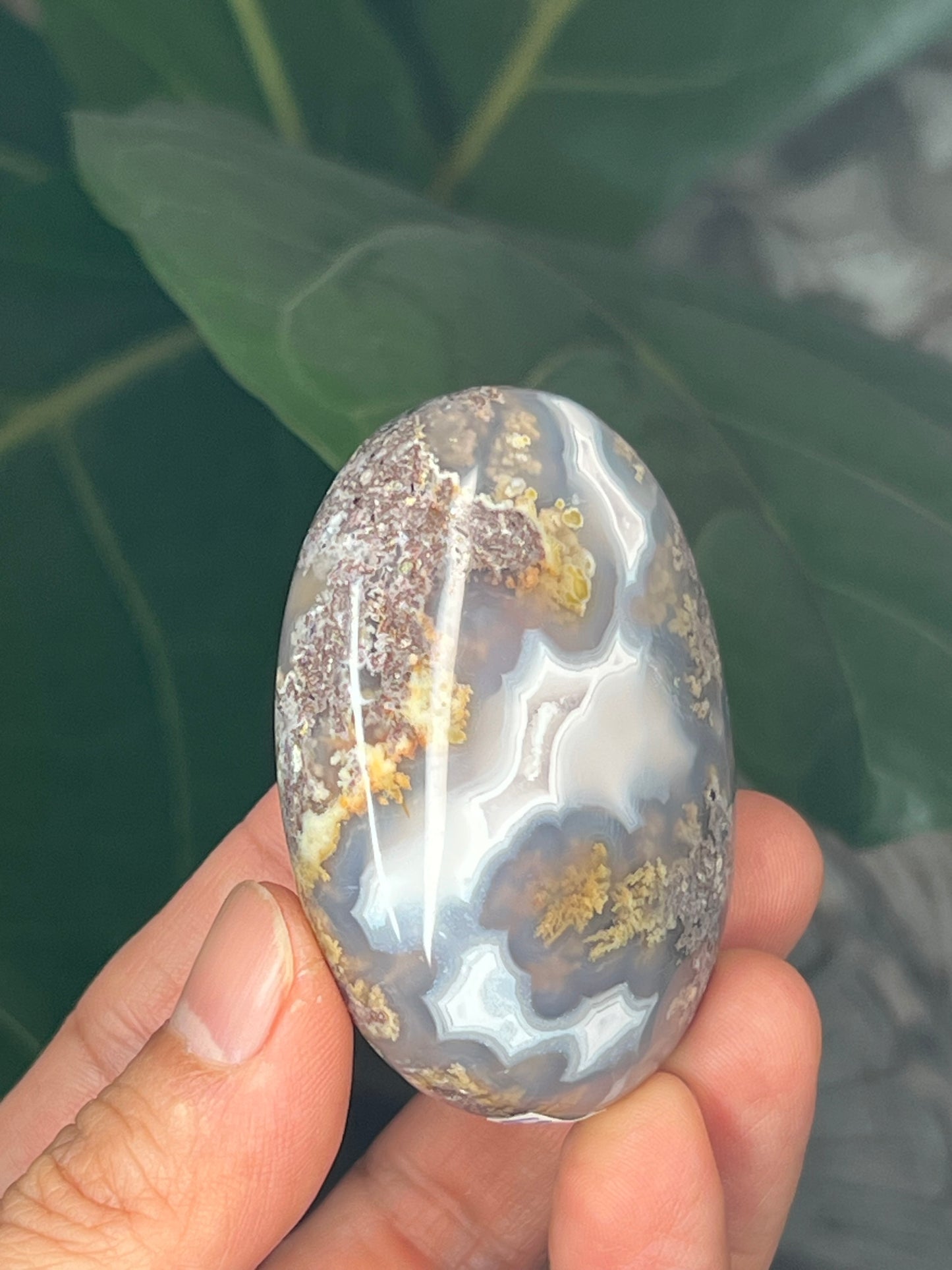 Scenic Moss Agate Palmstone