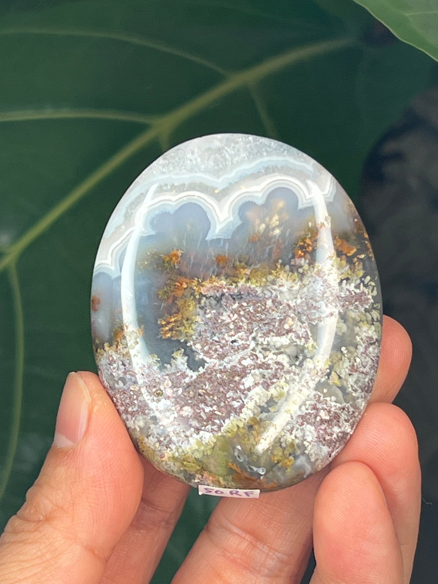 Scenic Moss Agate Palmstone