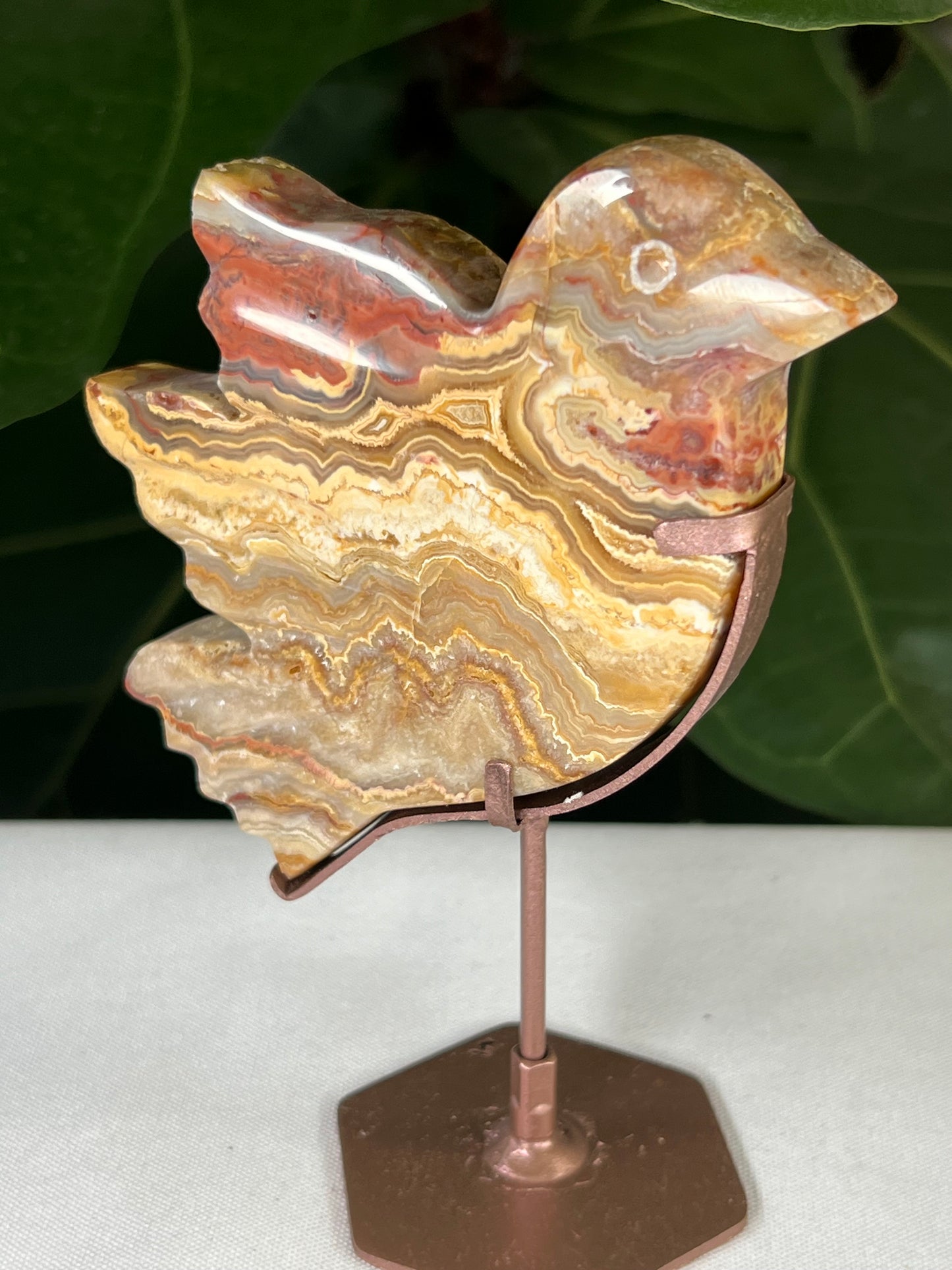 Crazy Lace Agate Bird