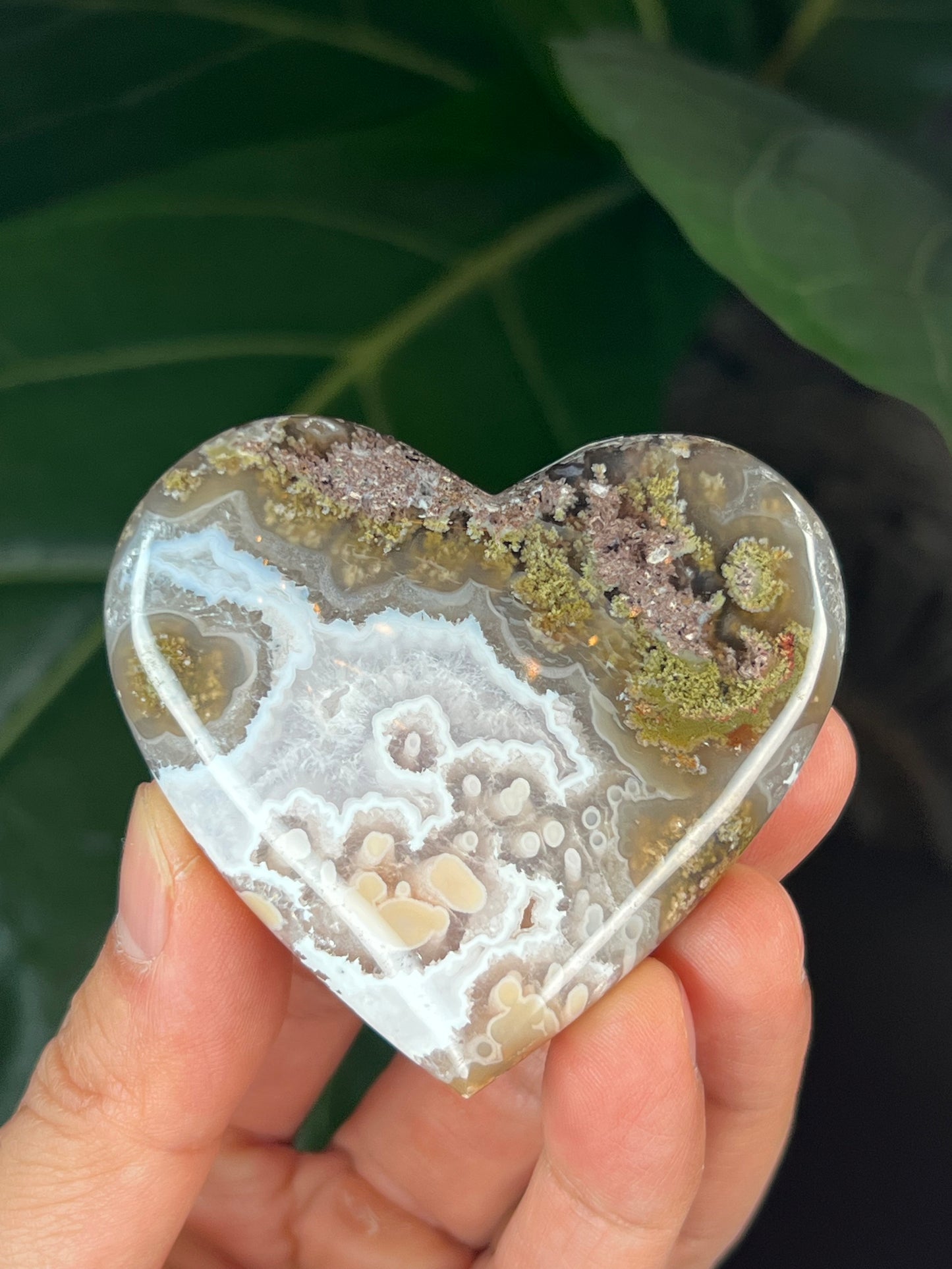 Scenic Moss Agate Heart