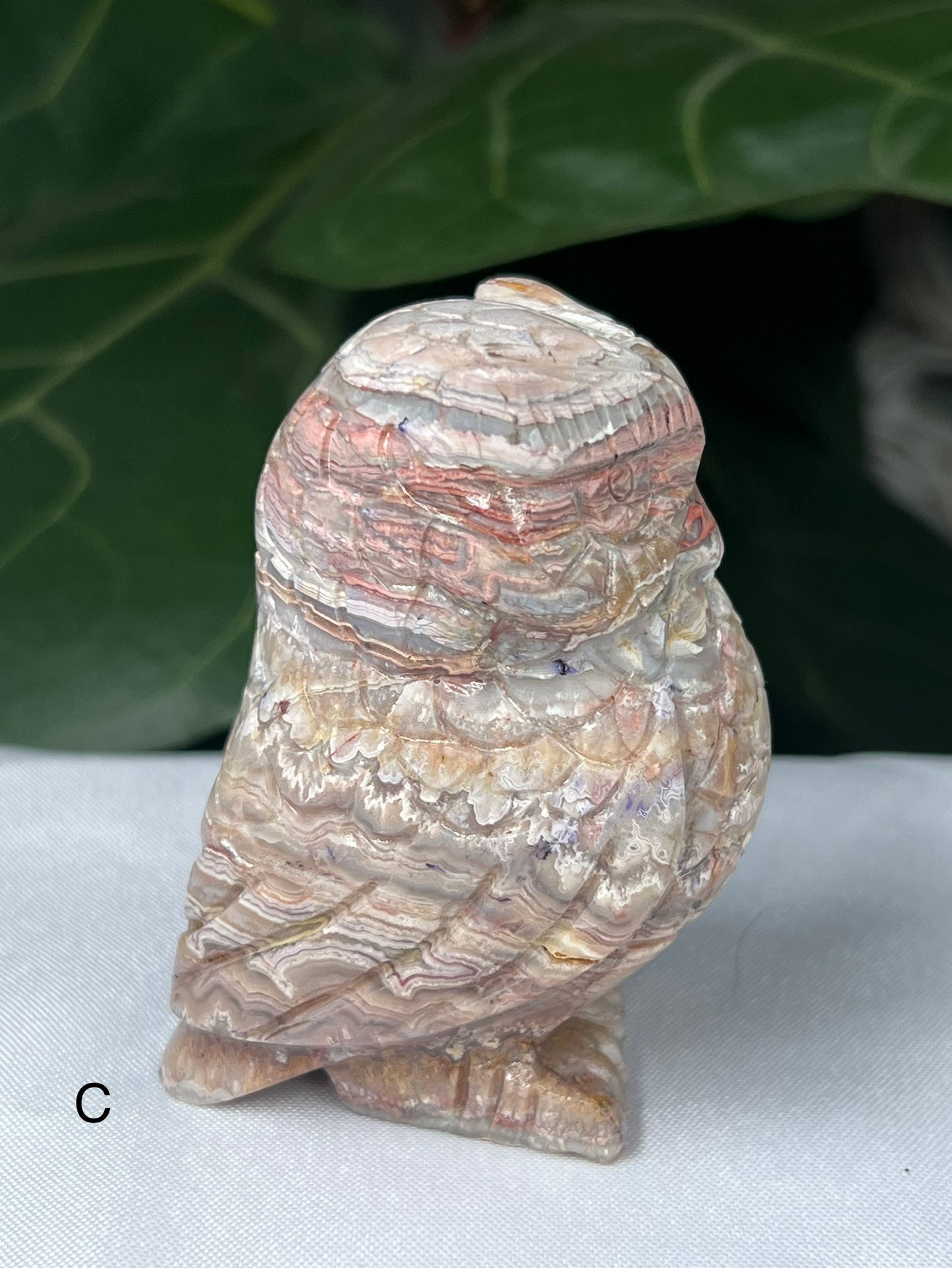 Crazy Lace Agate Owl