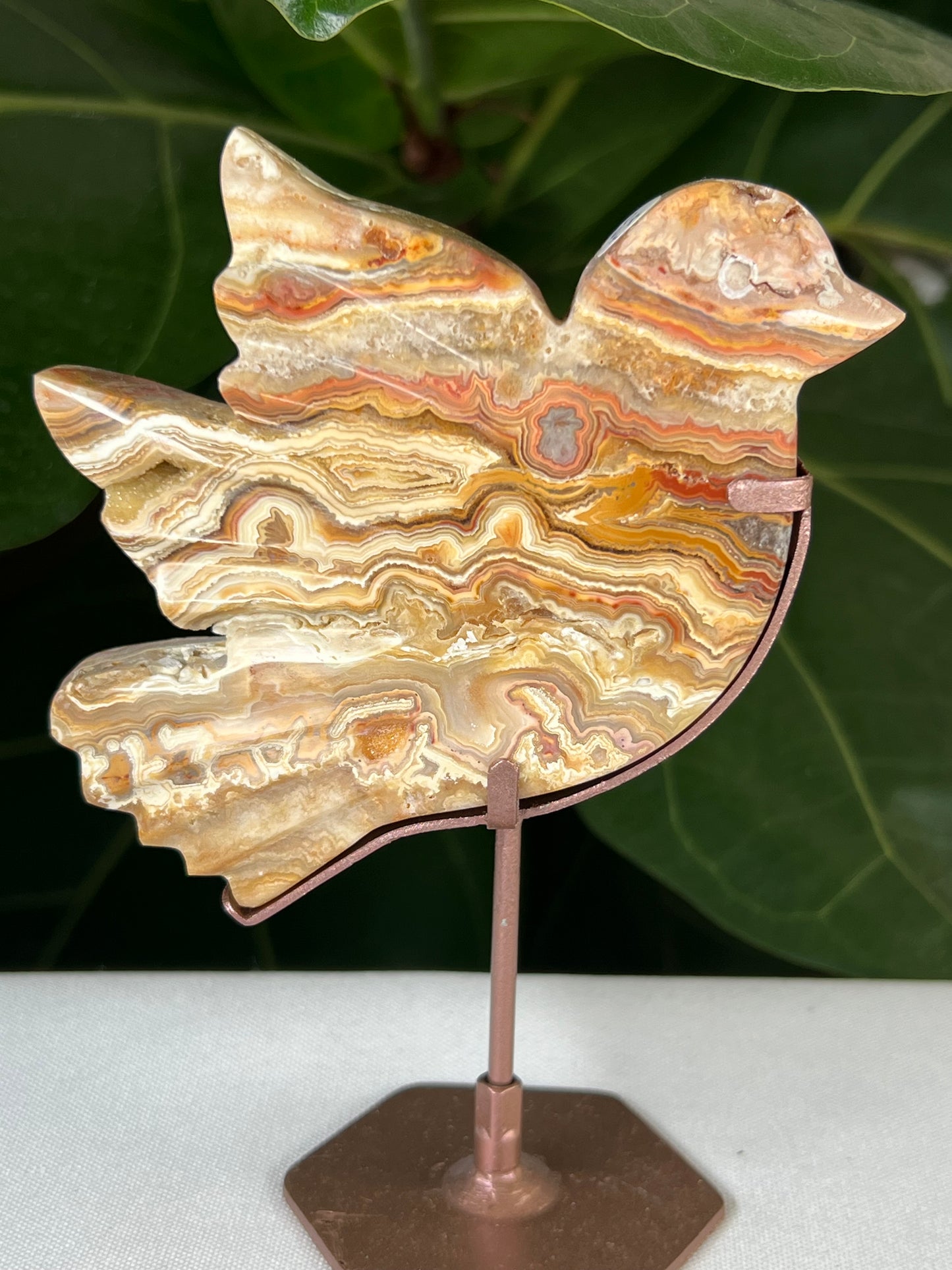 Crazy Lace Agate Bird