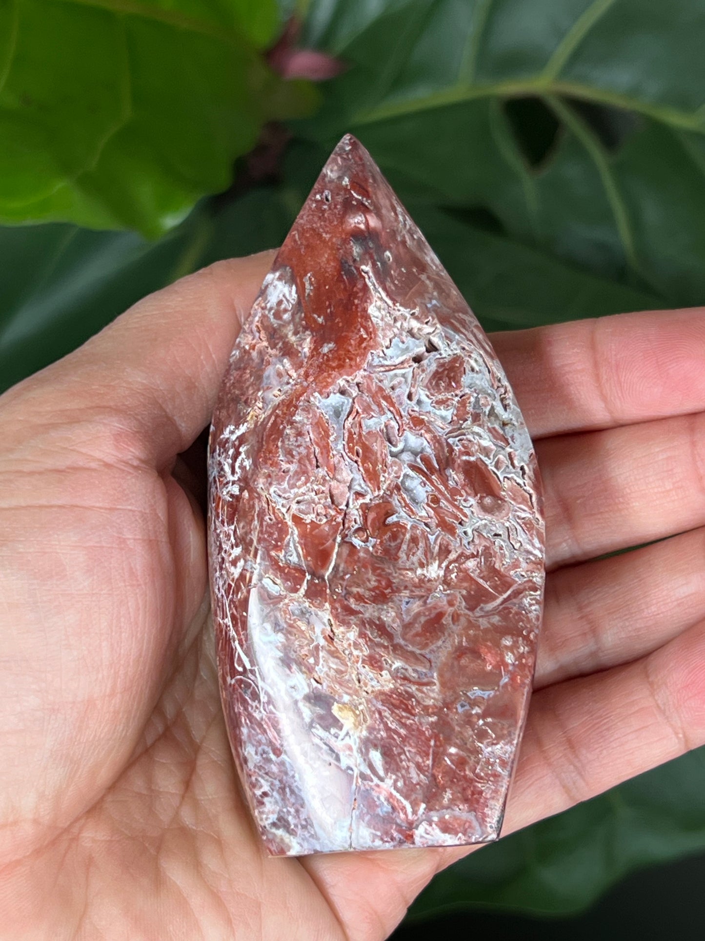 Red Scenic Jasper