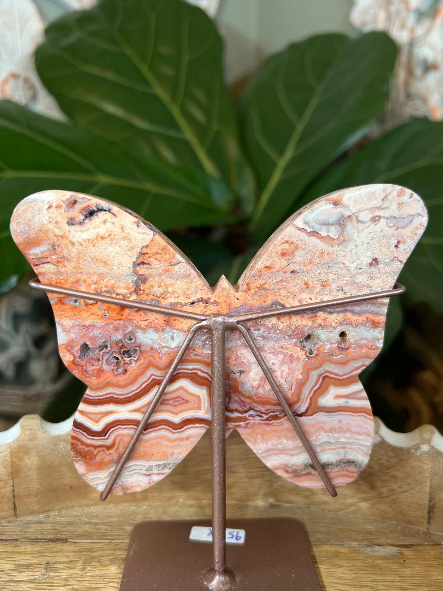 Crazy Lace Agate Butterfly