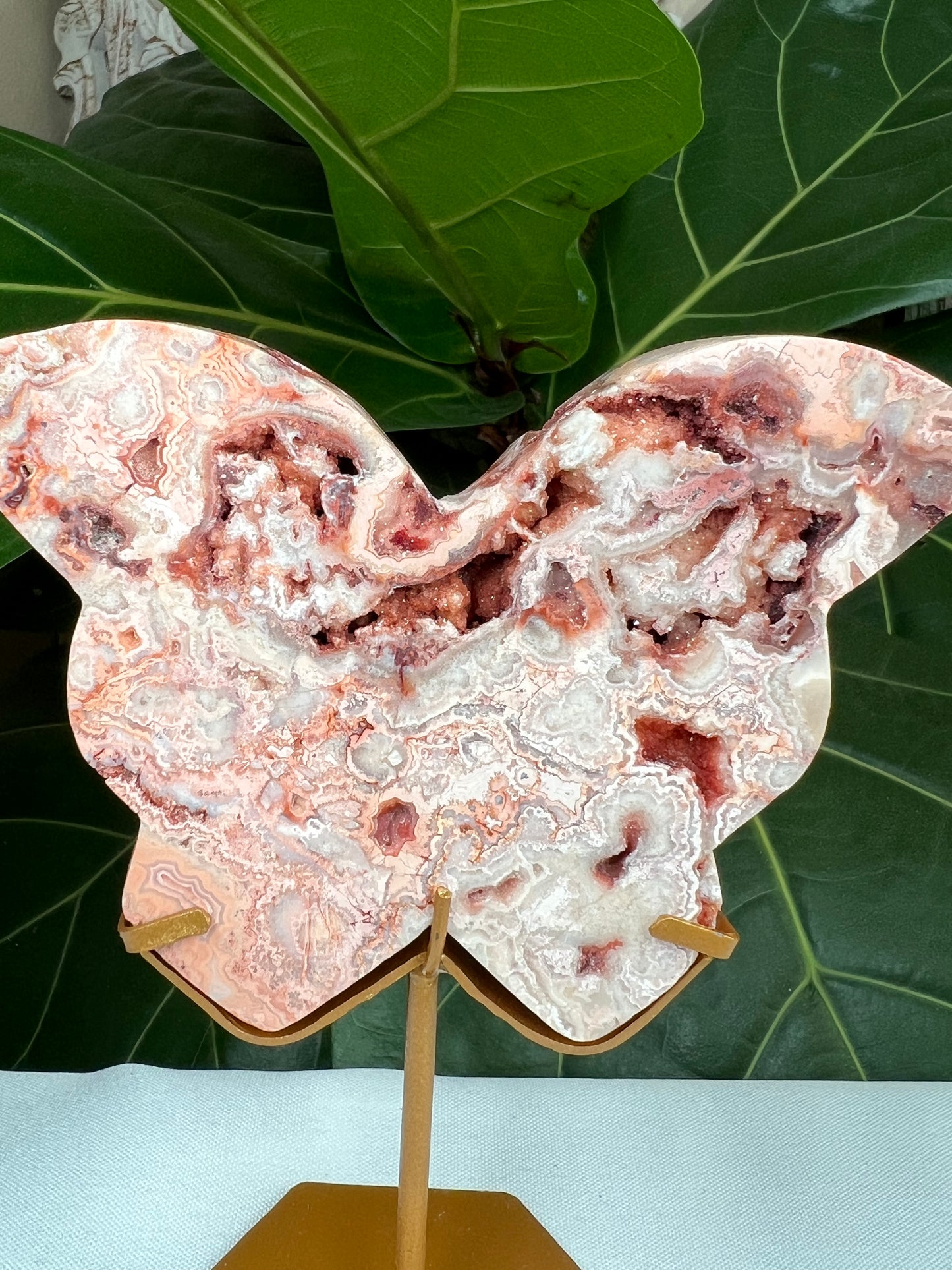 Crazy Lace Agate Butterfly