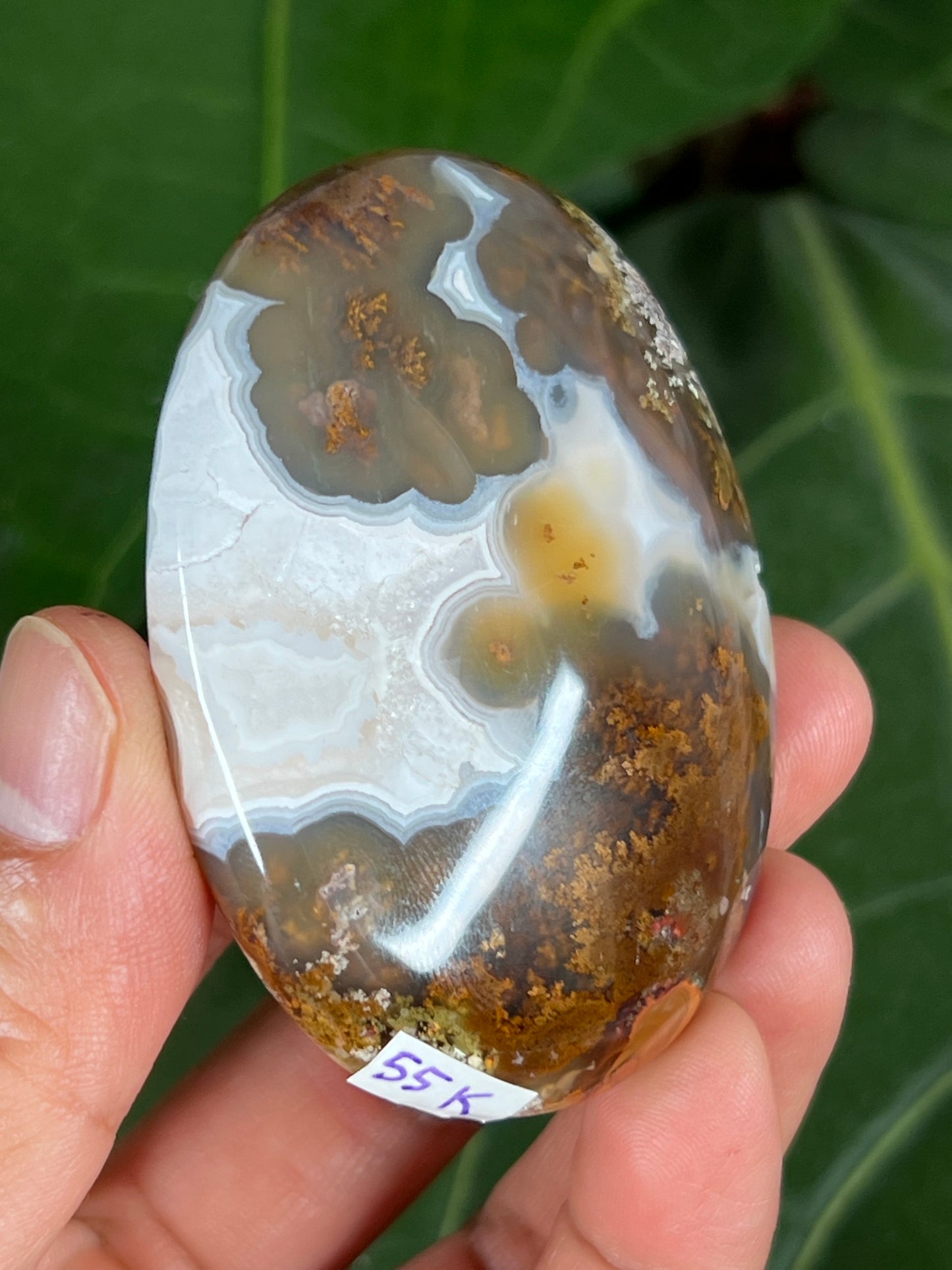 Scenic moss agate palm stone