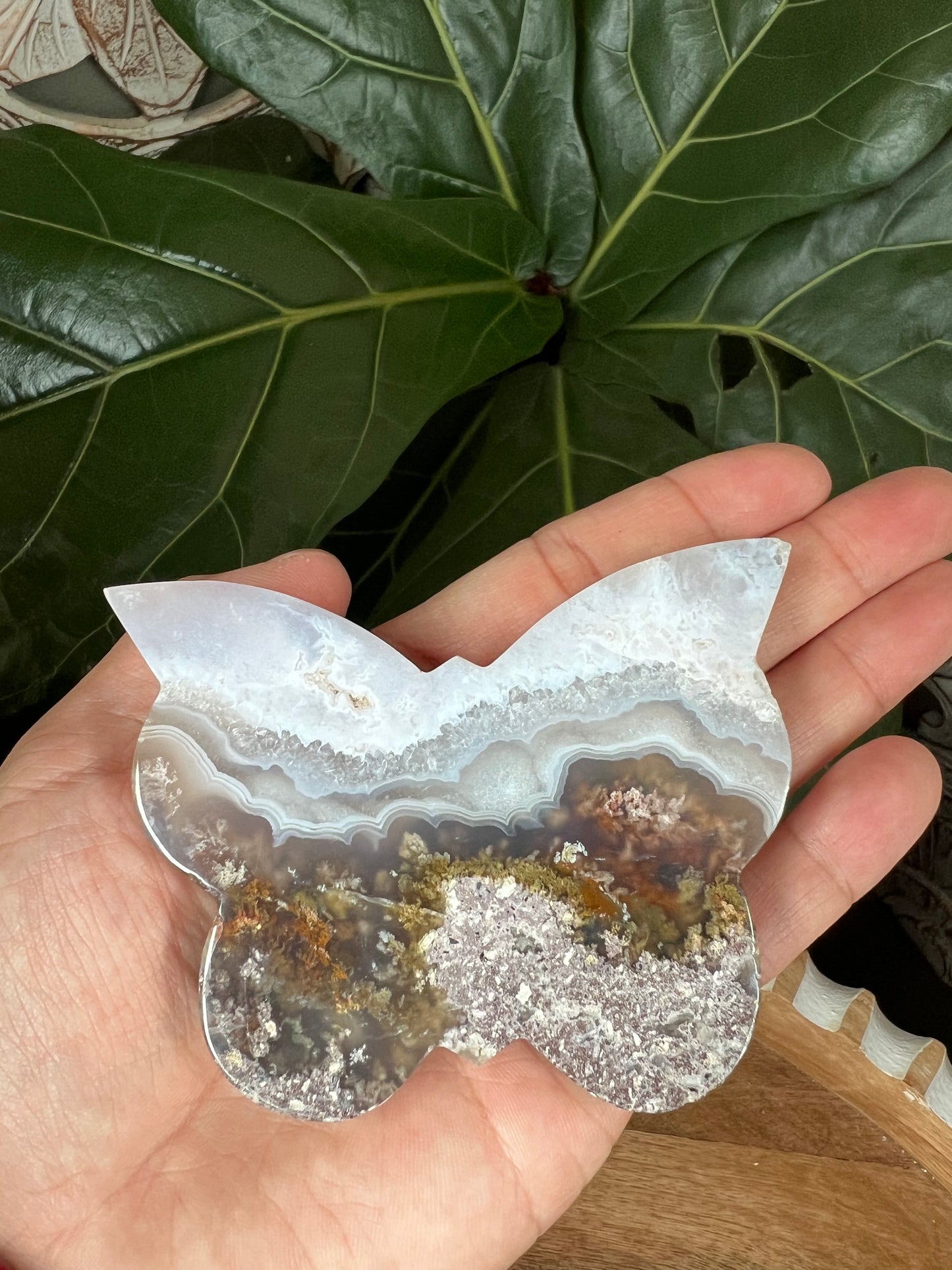 Scenic Moss Agate Butterfly