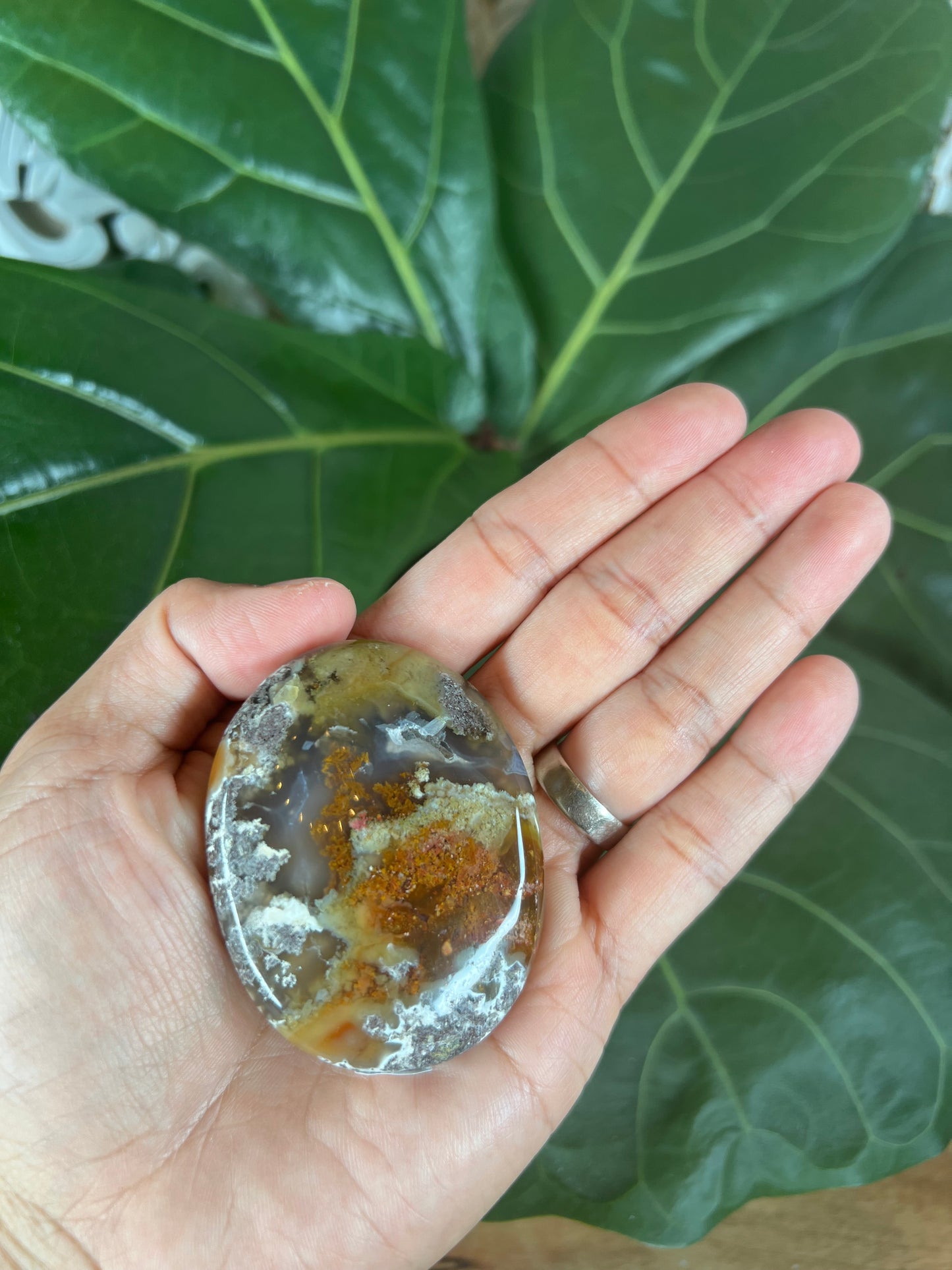 Scenic Moss  Agate Palm Stone