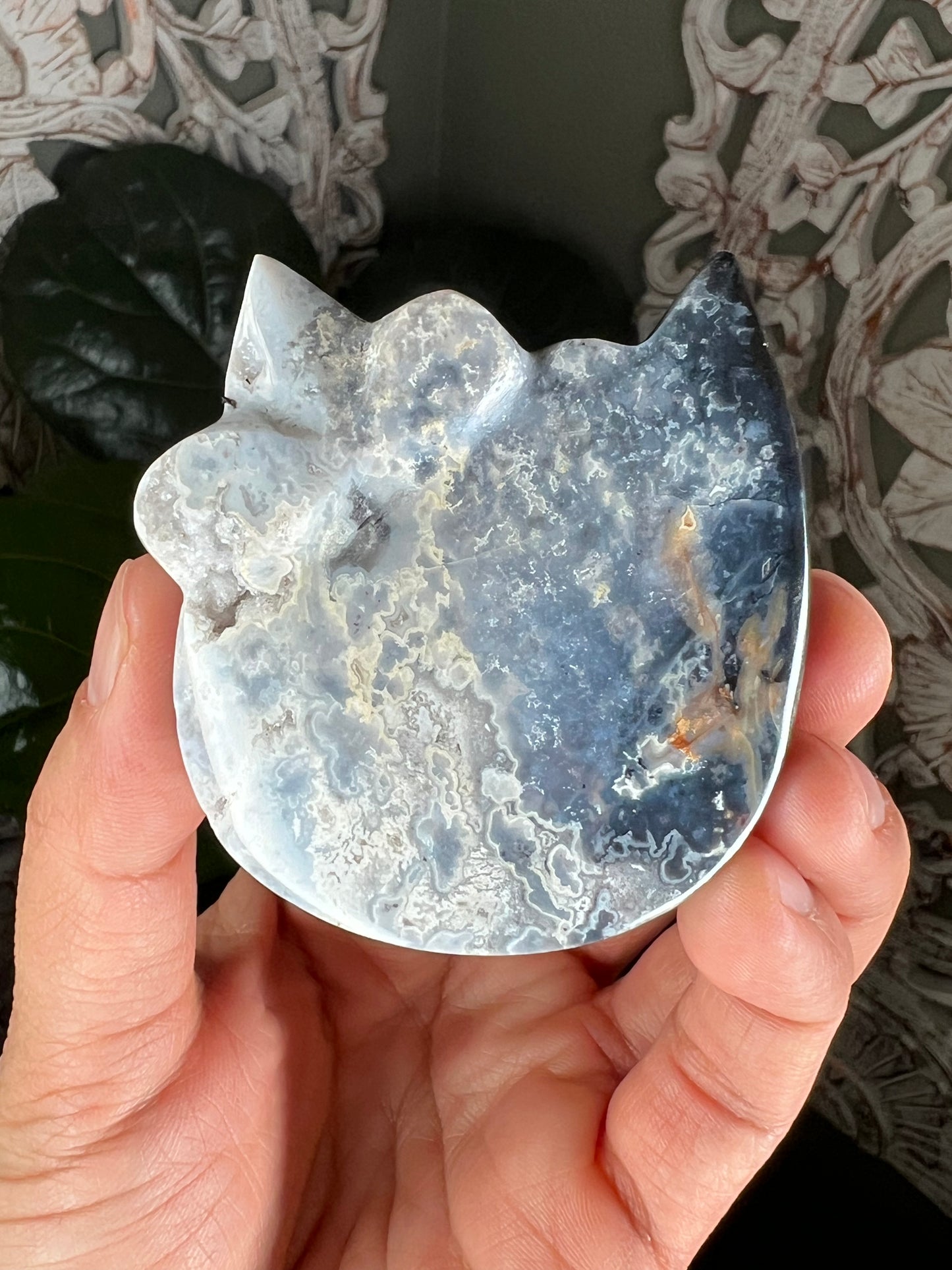 Blue Plume Agate Cat