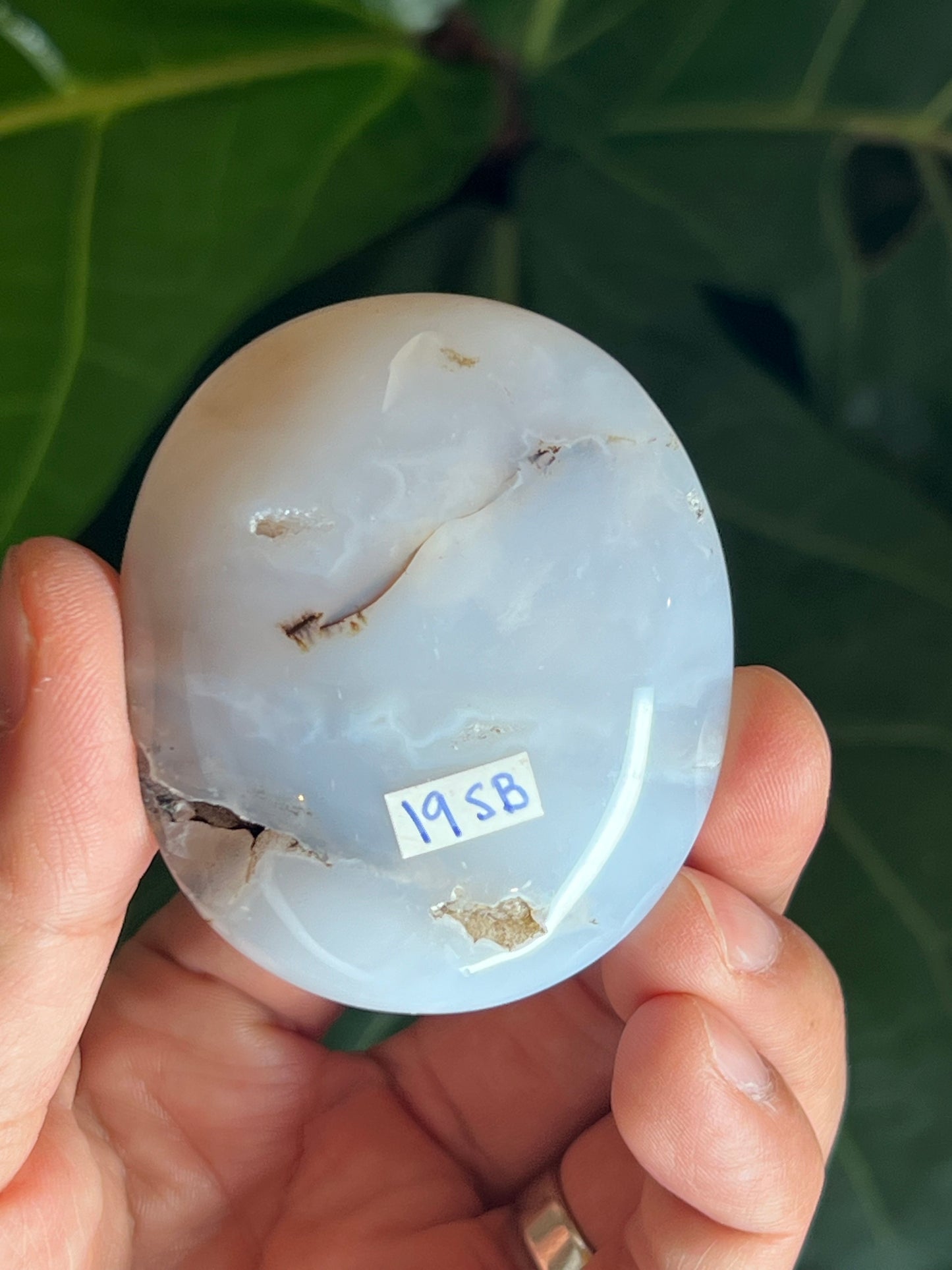 White Plume Agate Palmstone