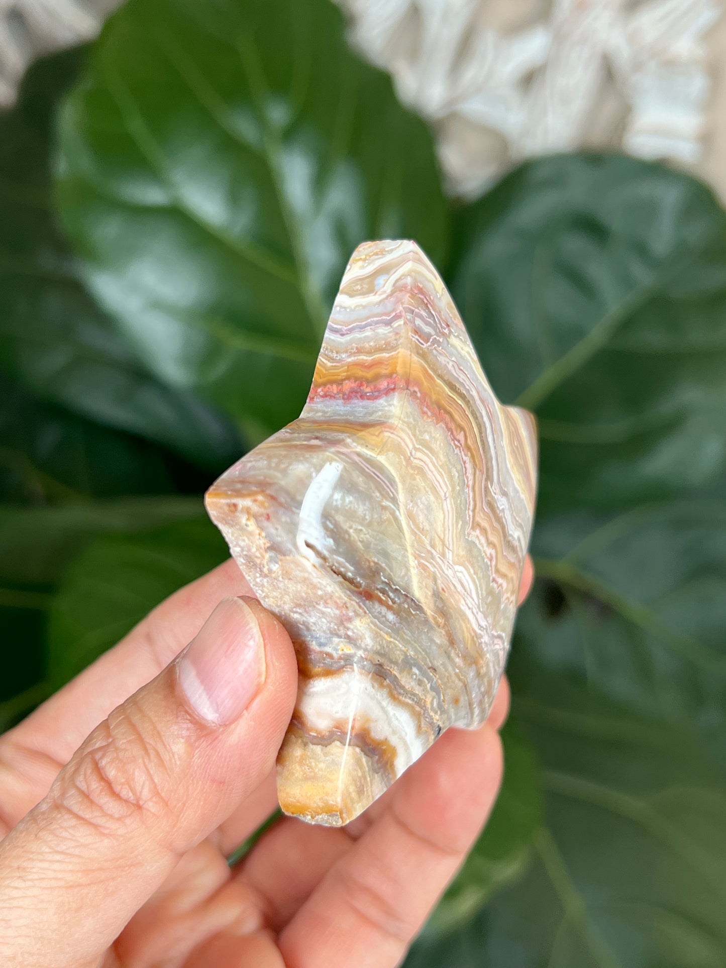 Crazy Lace Agate Star