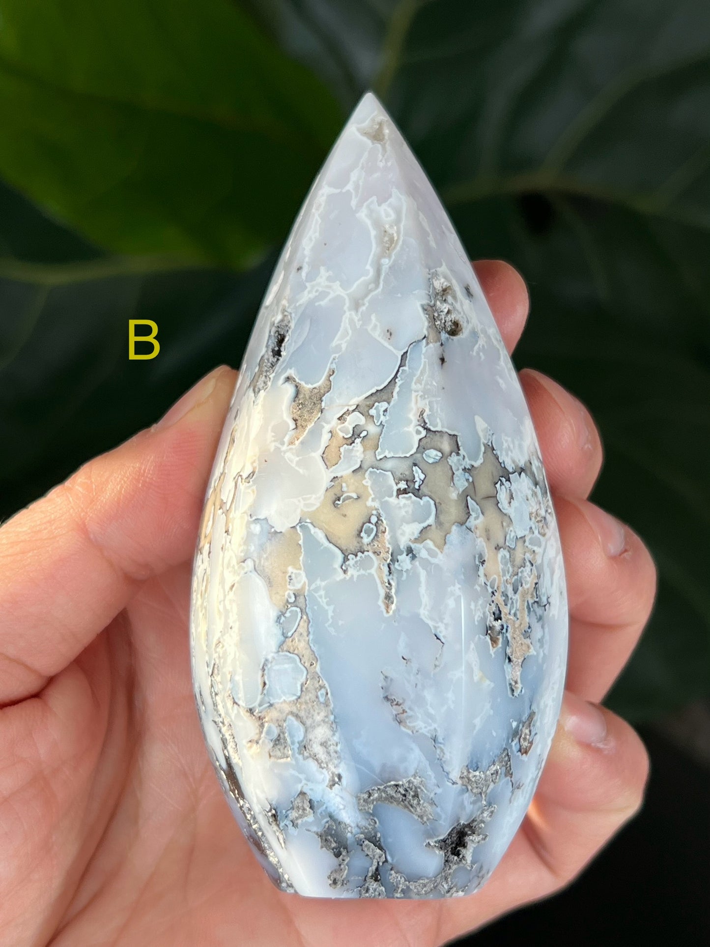 Dendritic Agate Bullet