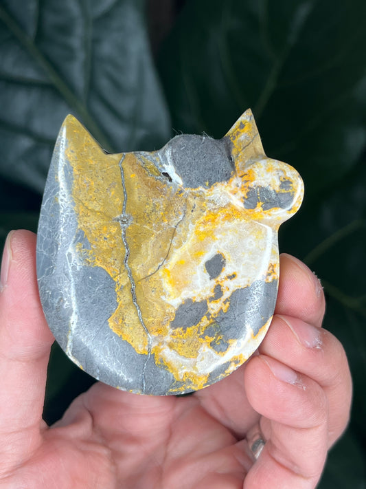 Bumblebee Jasper Cat Head