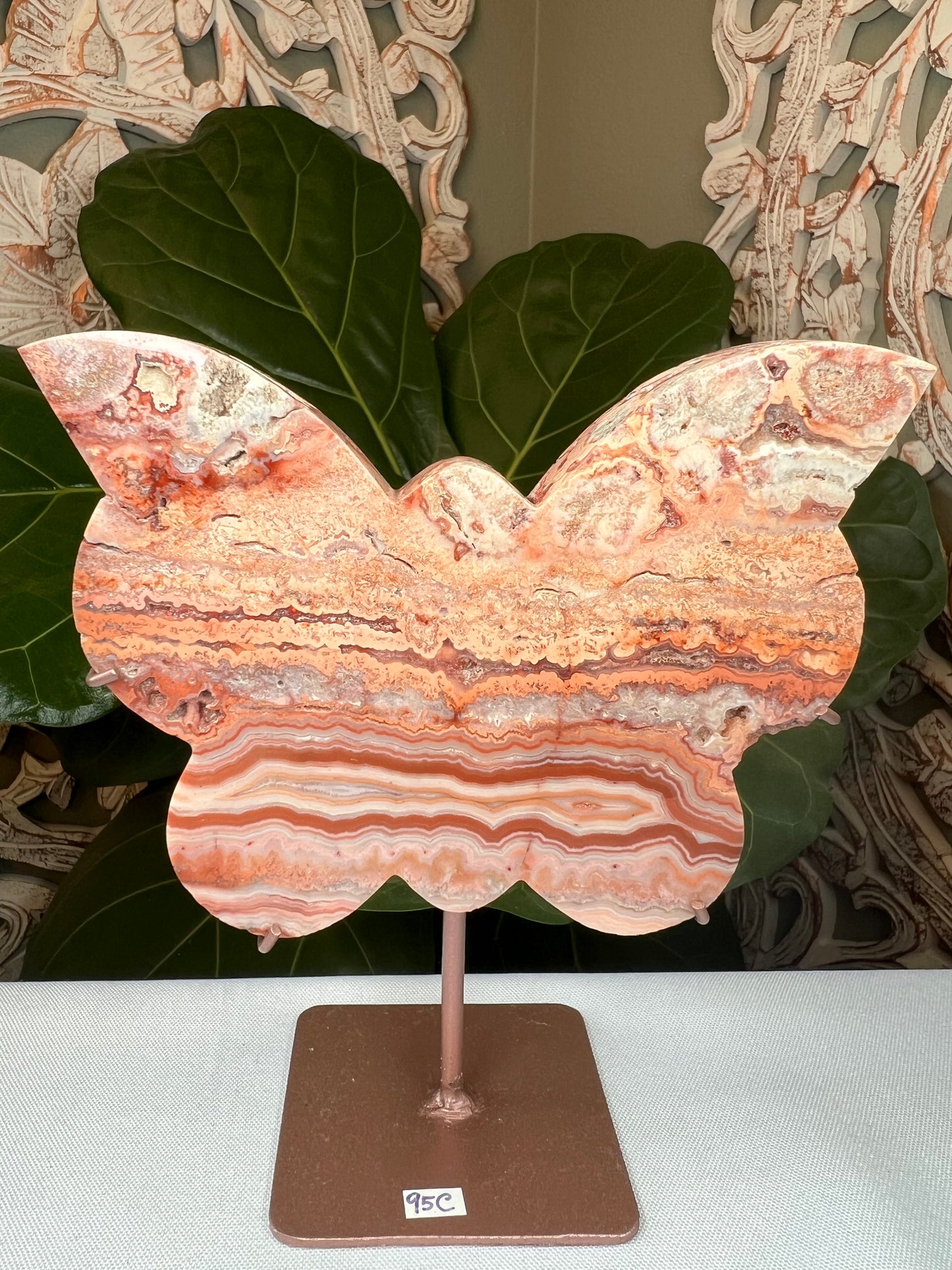 Crazy Lace Agate Butterfly