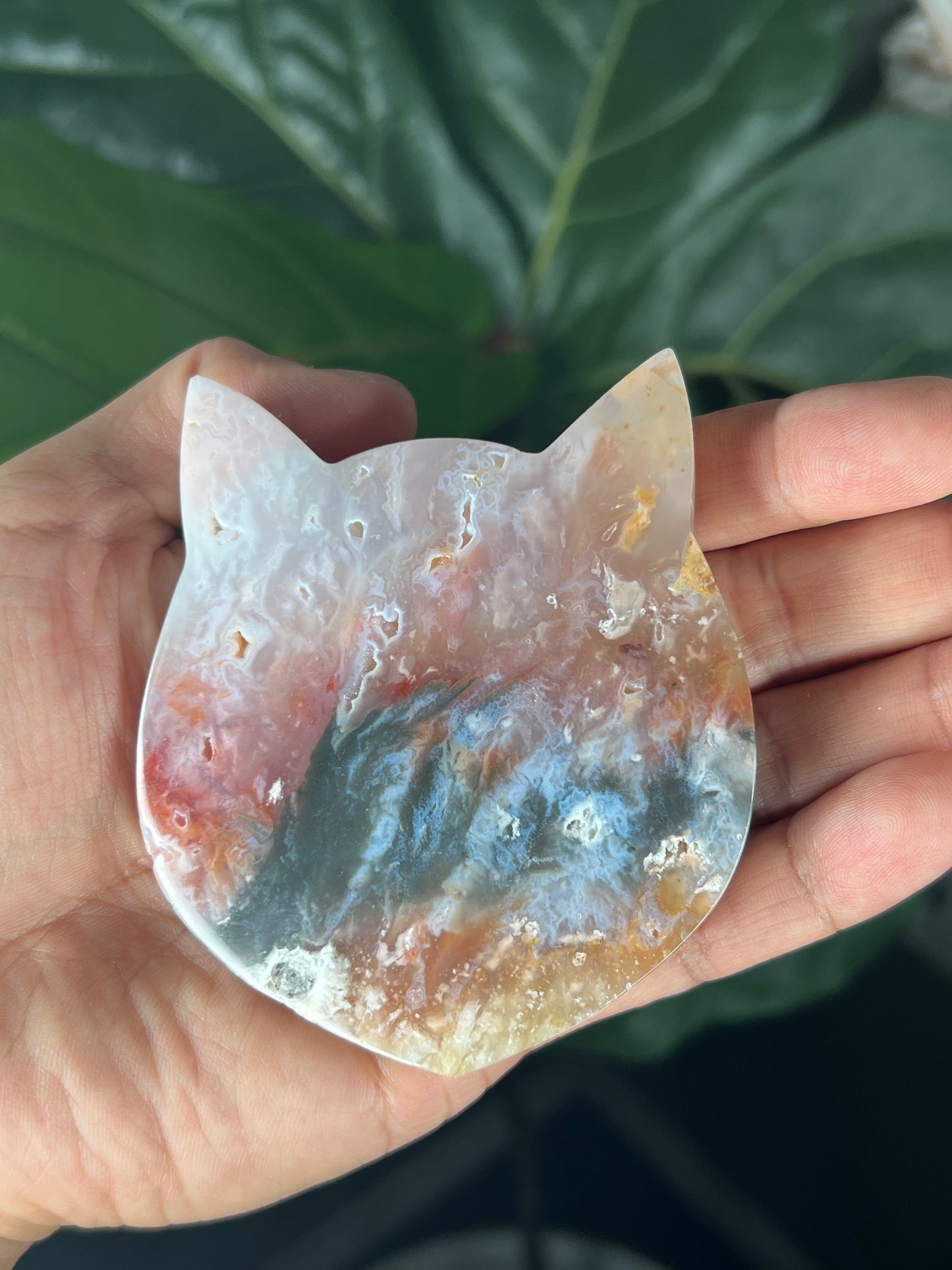 Rainbow Plume Agate Cat