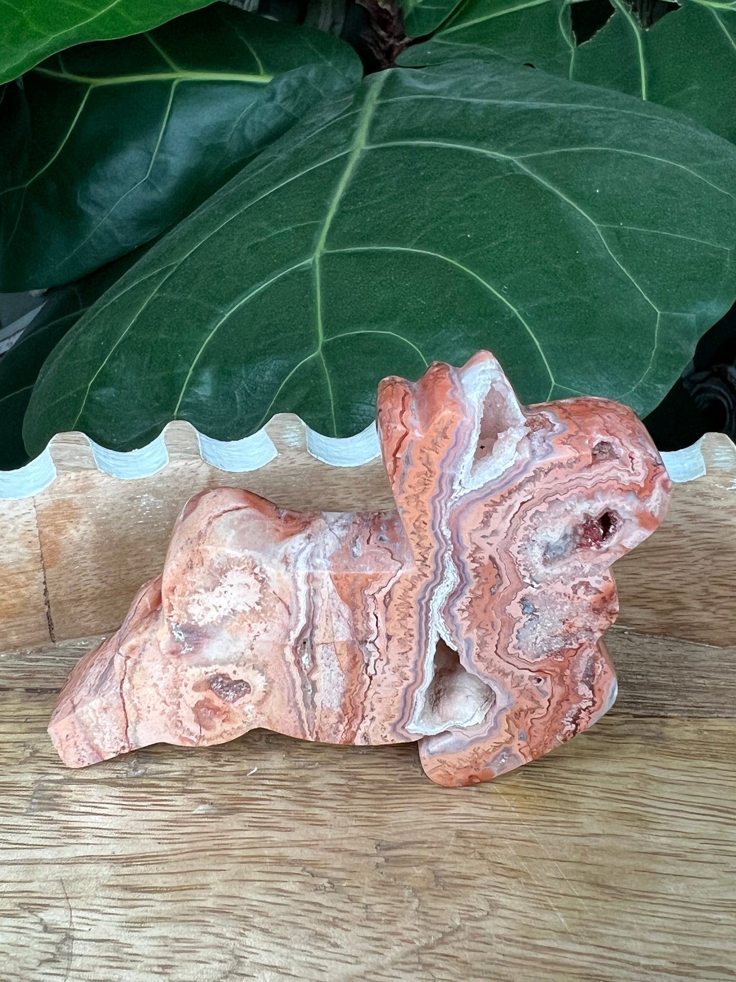 Crazy Lace Agate Deer