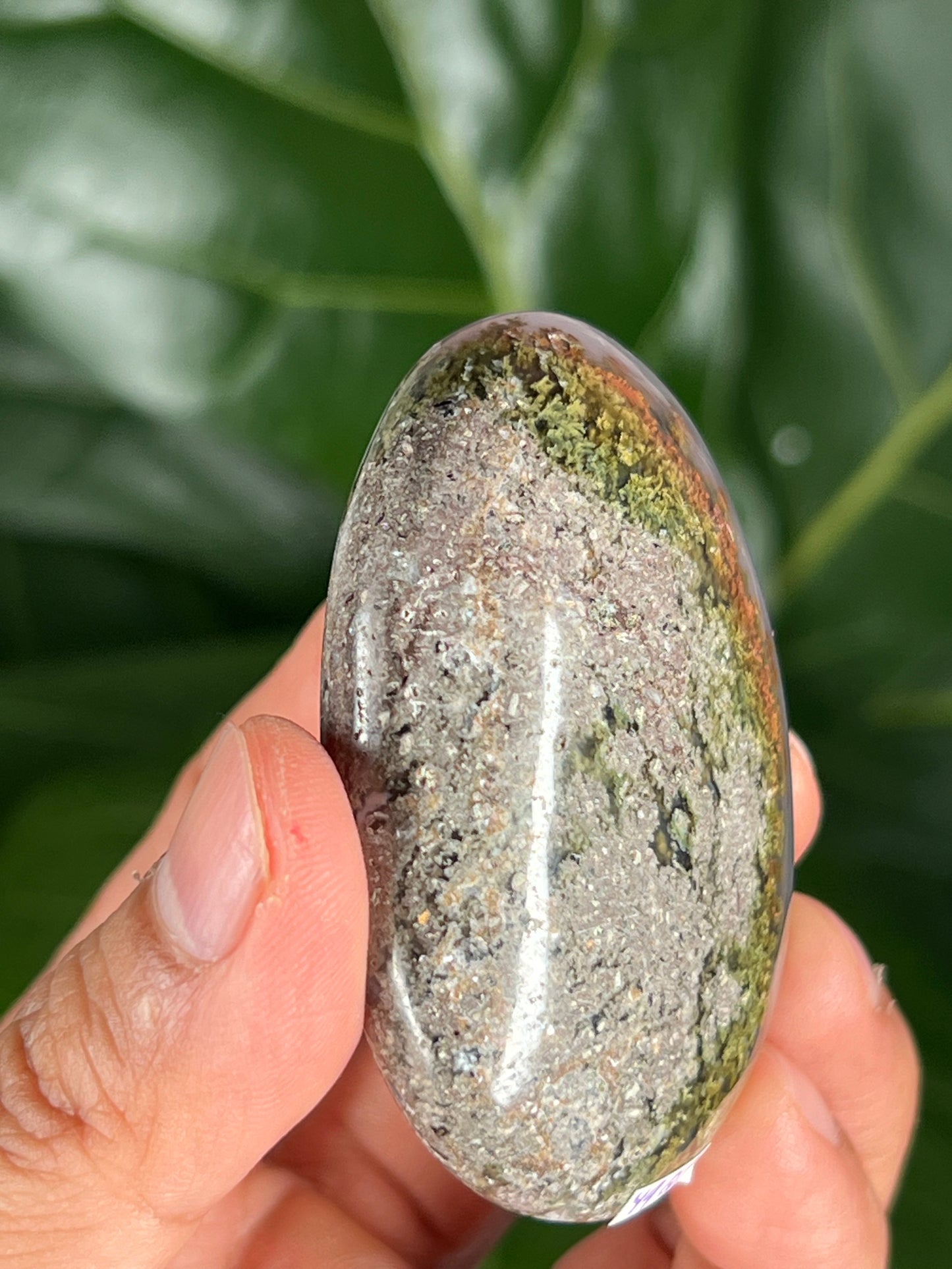 Scenic Moss Agate Palmstone