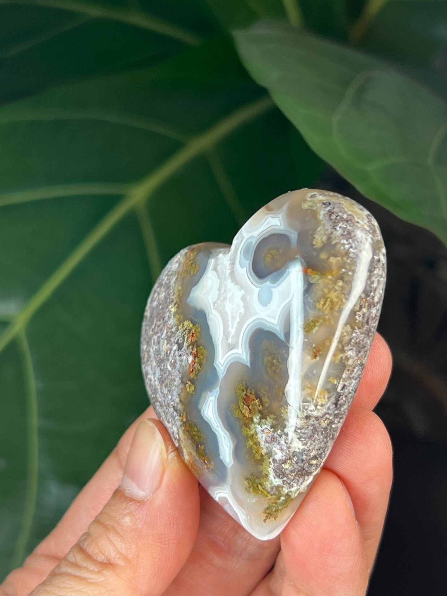 Scenic Moss Agate Heart