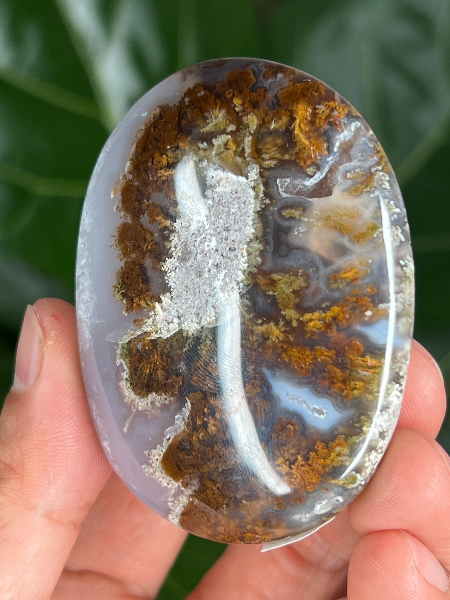 Scenic Moss Agate Palmstone