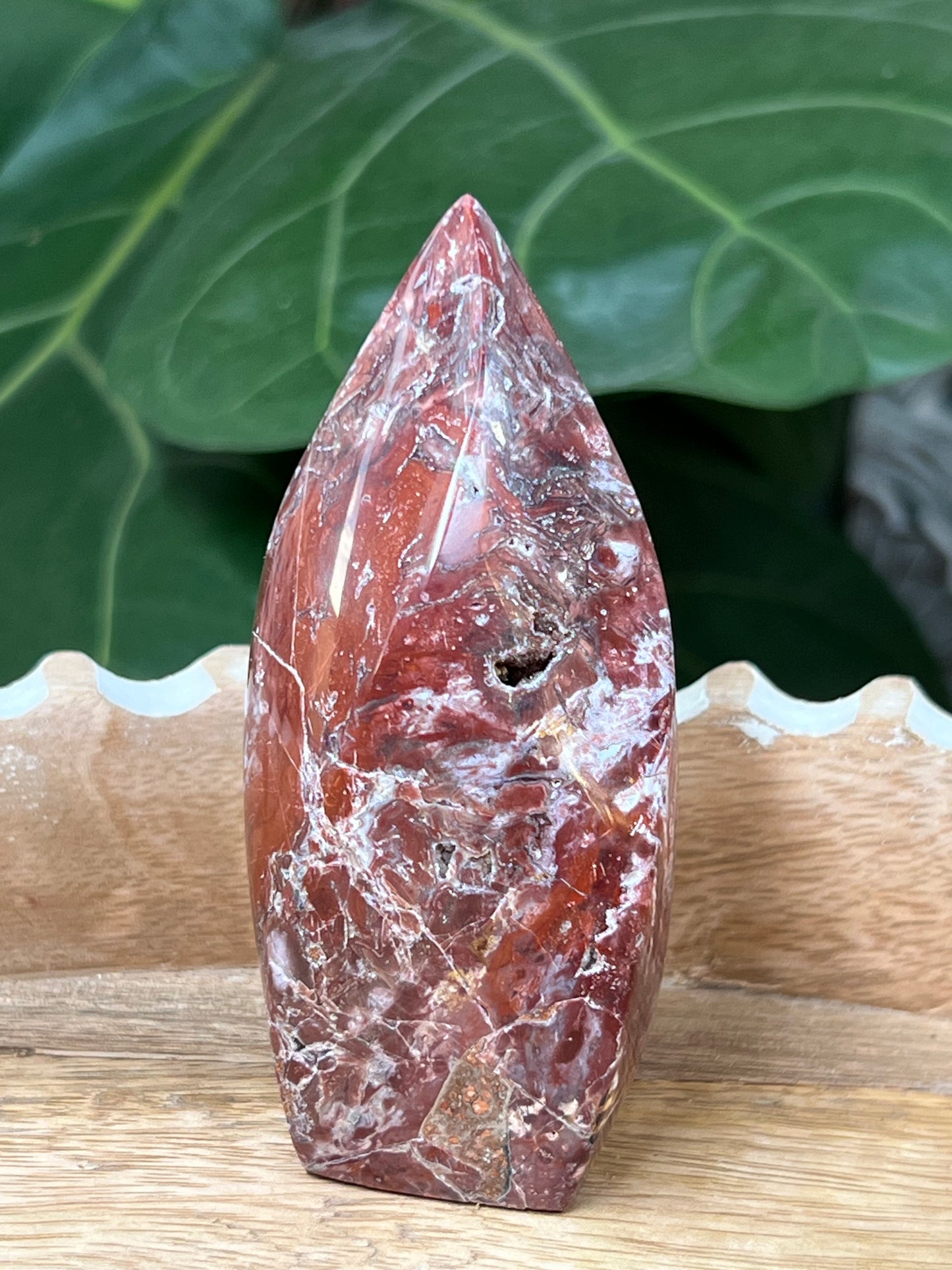 Red Scenic Jasper