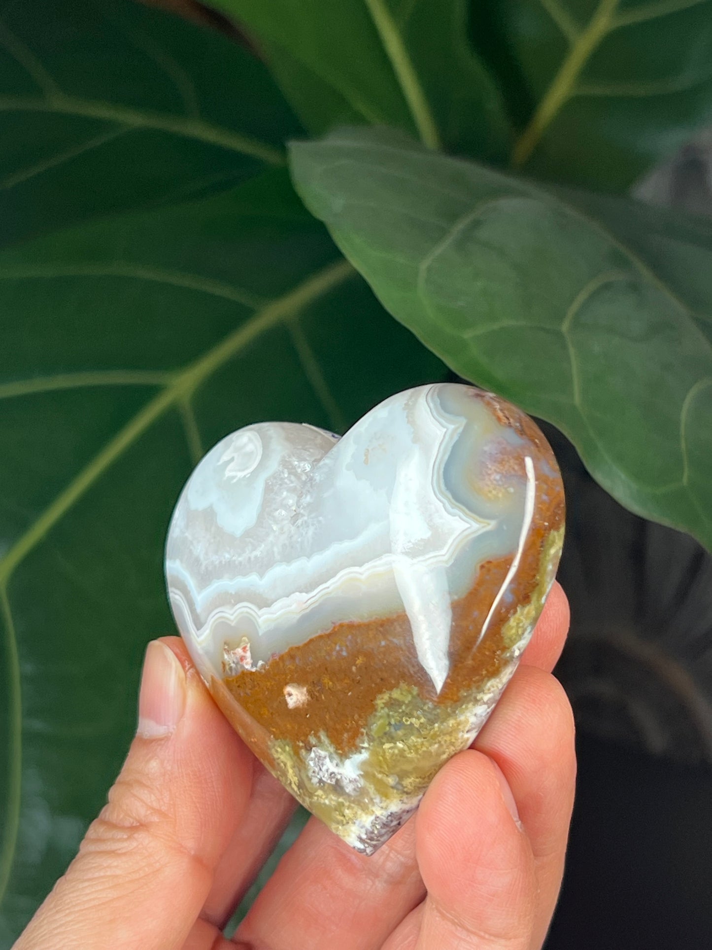 Scenic Moss Agate Heart