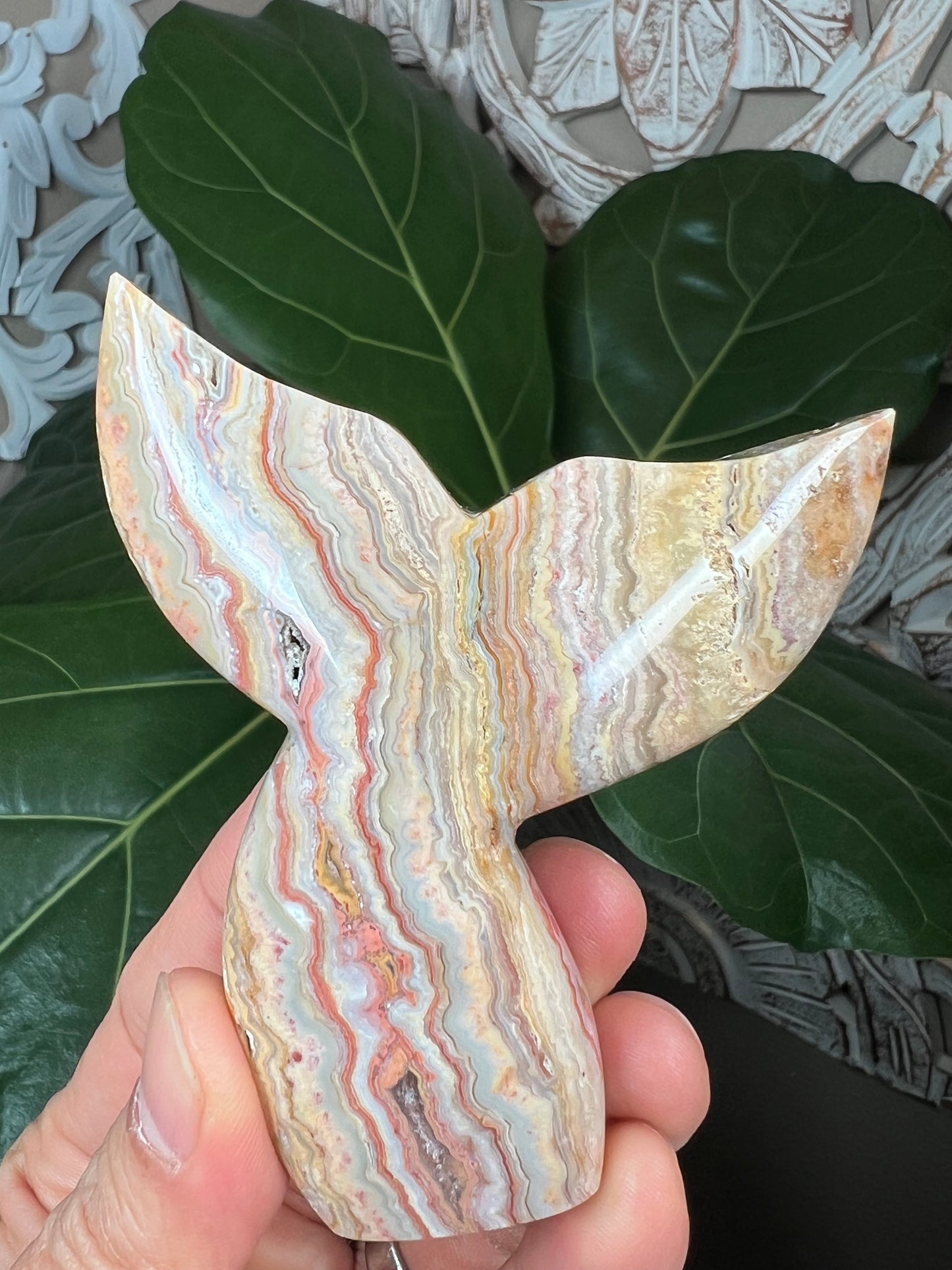 Crazy Lace Agate Mermaid tail