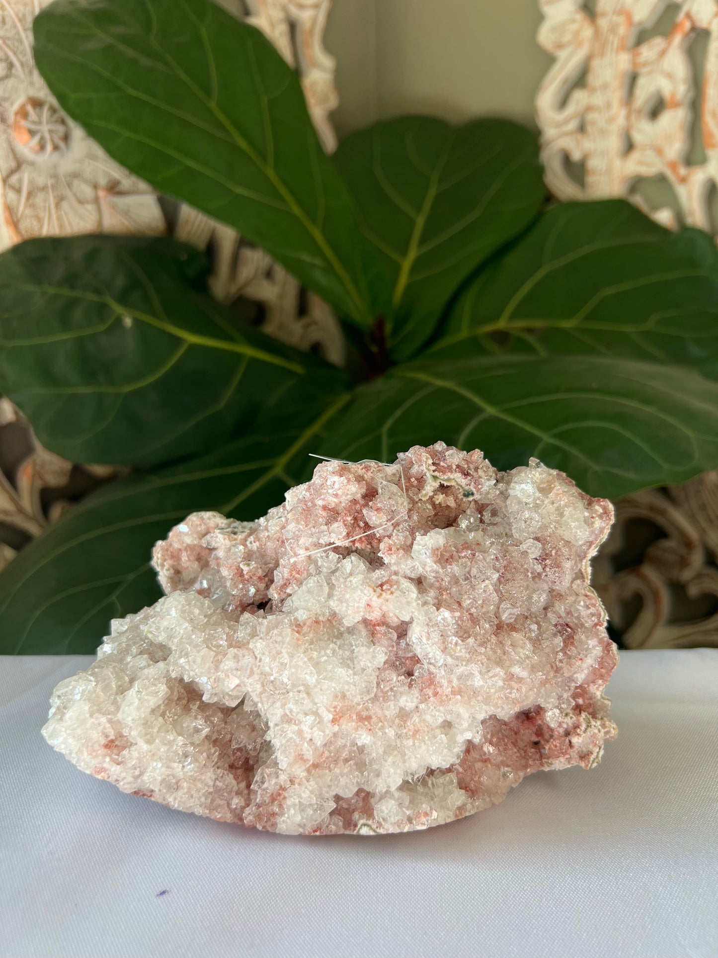 Pink Apophyllite