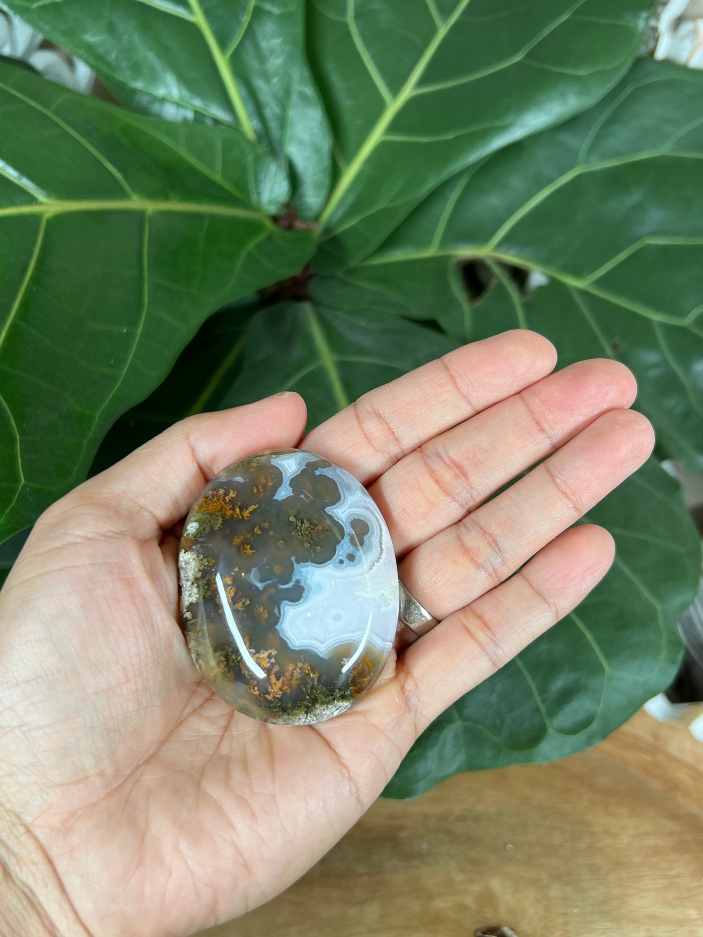 Scenic Moss Agate Palmstone