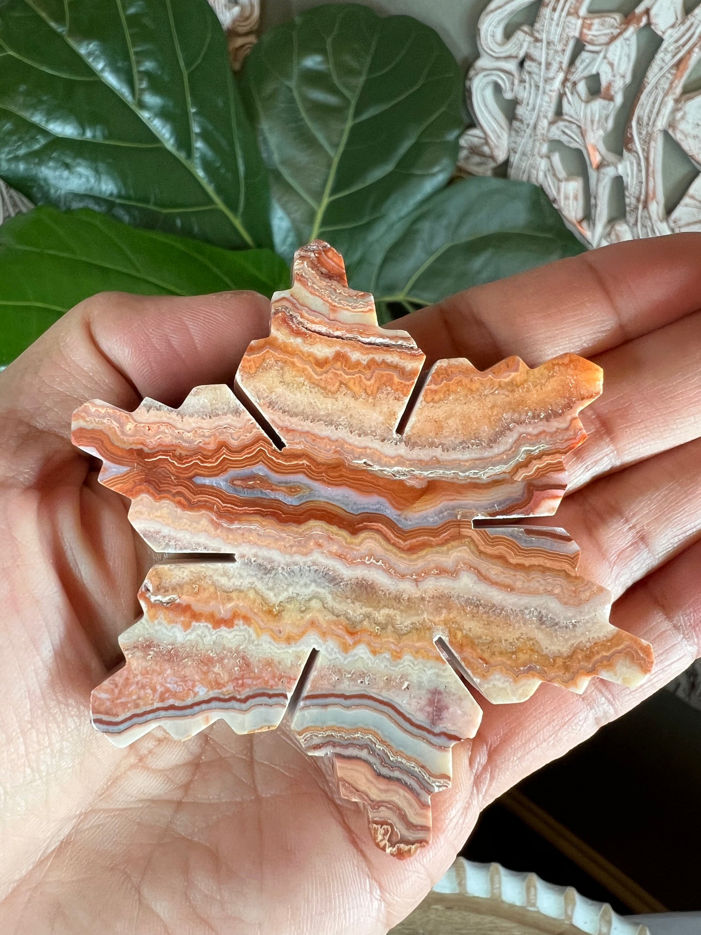 Crazy Lace Agate Snowflake