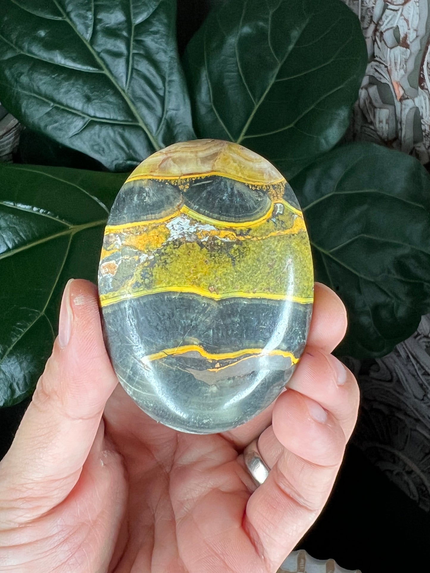 Bumblebee Jasper Palmstone