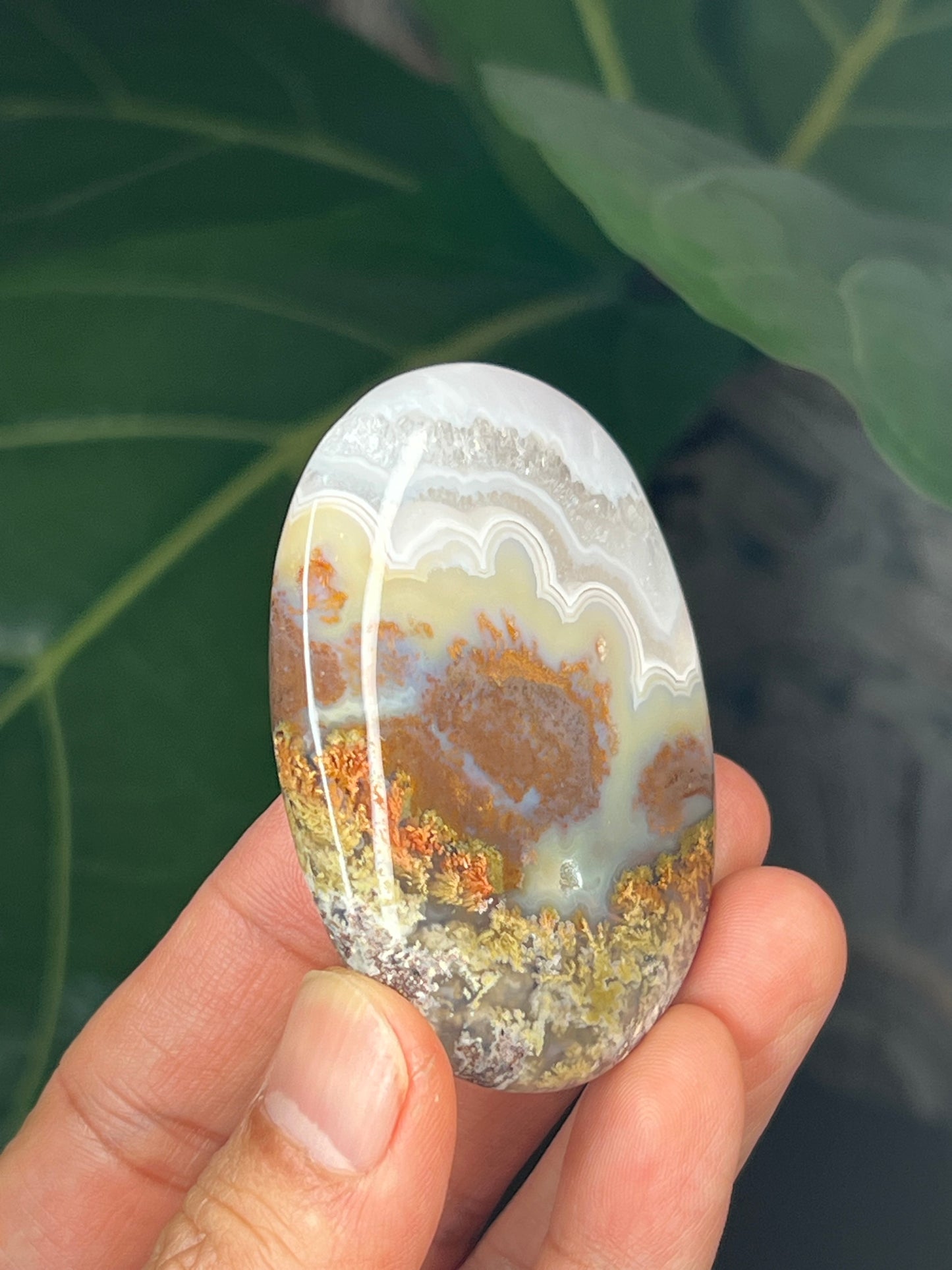 Scenic Moss Agate Palmstone