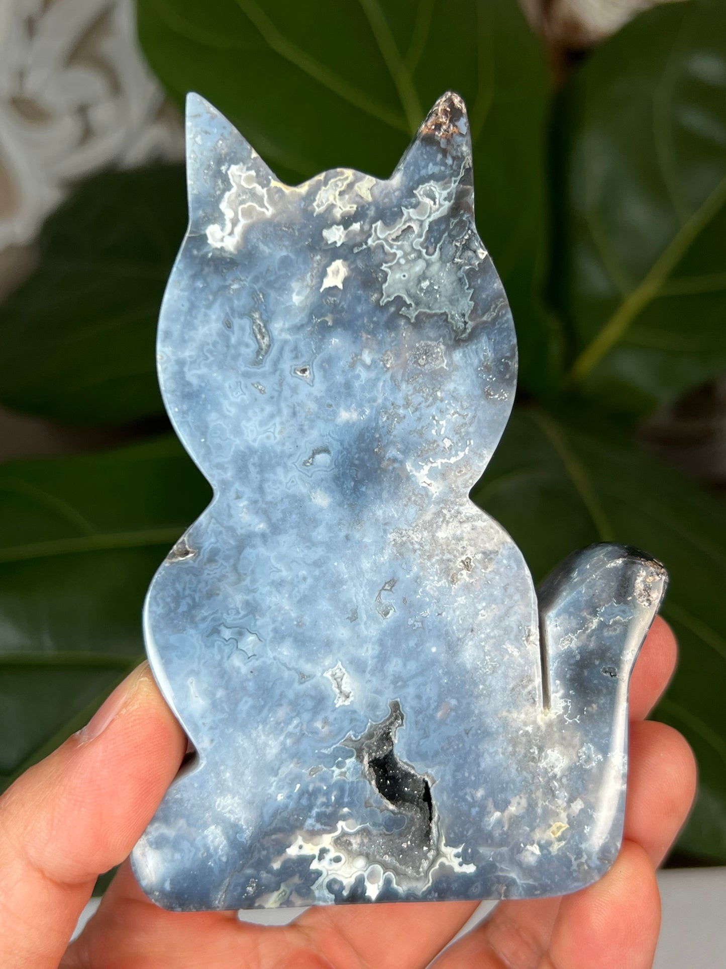 Blue Plume Agate Cat